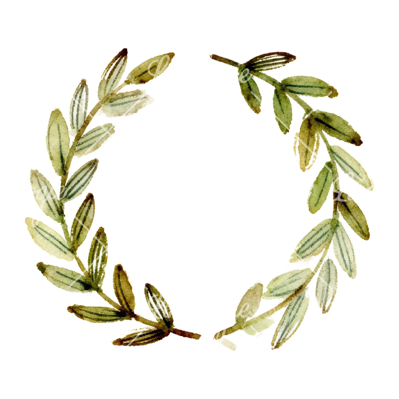 Watercolor green laurel wreath clipart 6 of 6 on a white background (JPG)