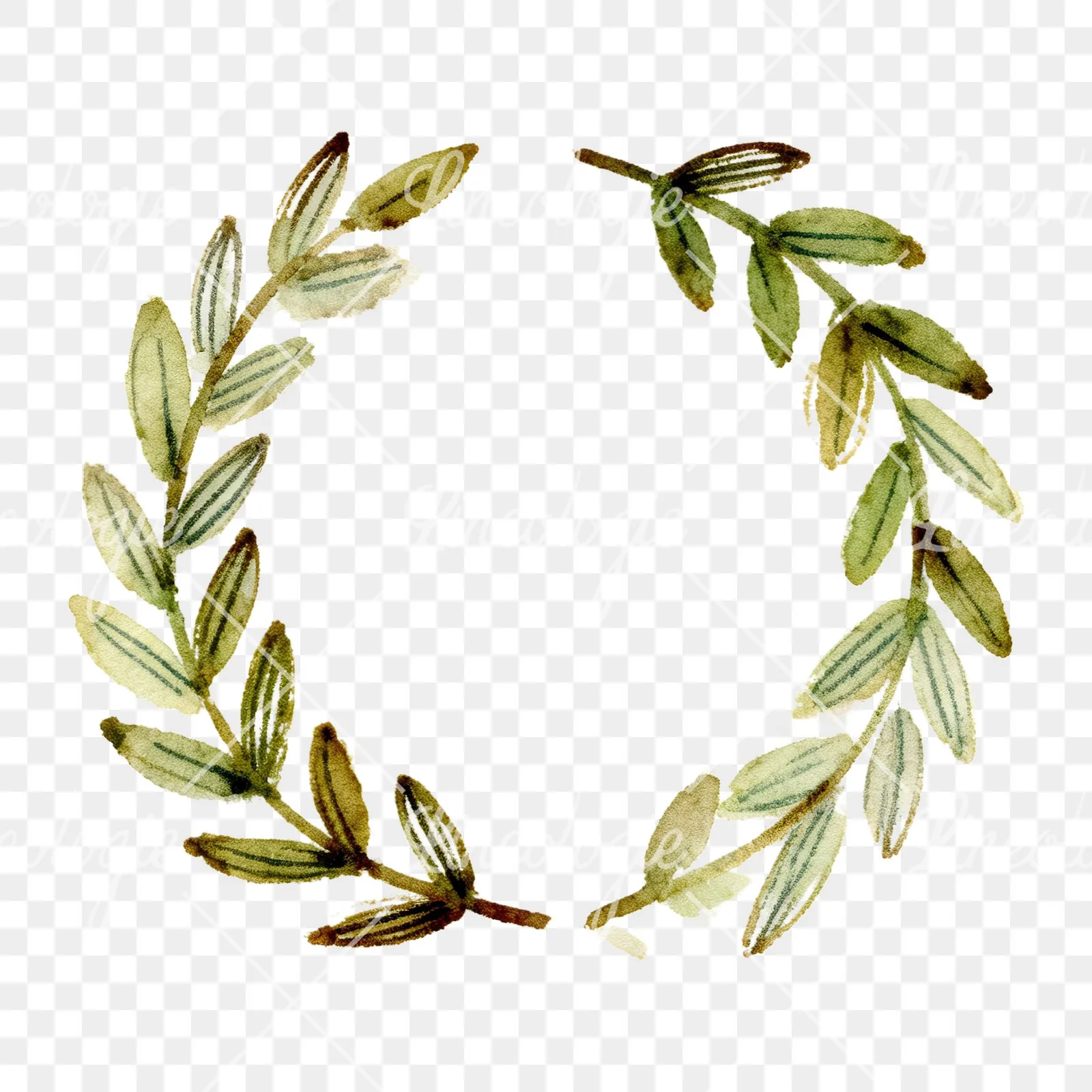 Watercolor green laurel wreath clipart 6 of 6 on a transparent background (PNG)