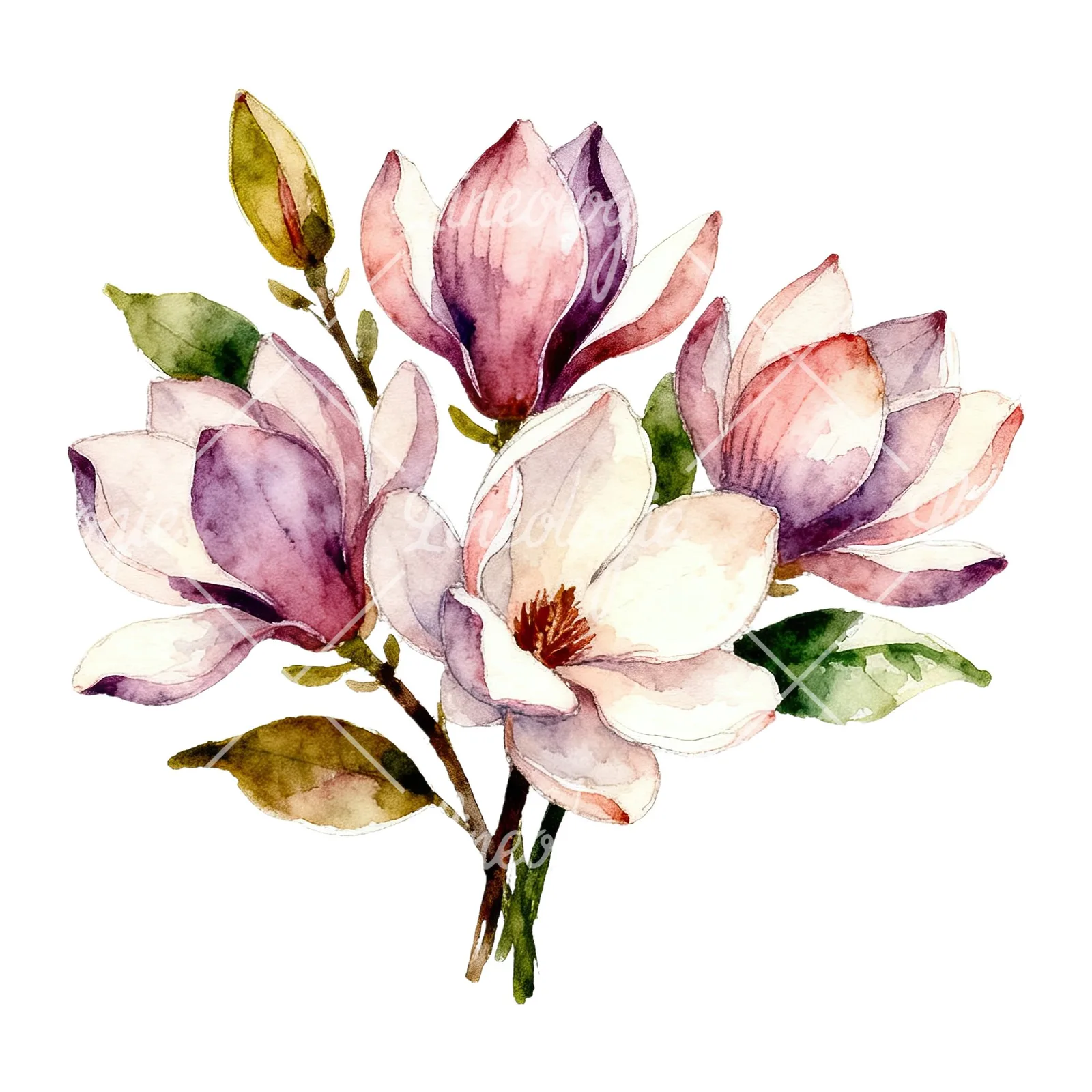 Watercolor cream pink and blue magnolia bouquet clipart 2 of 6 on a white background (JPG)