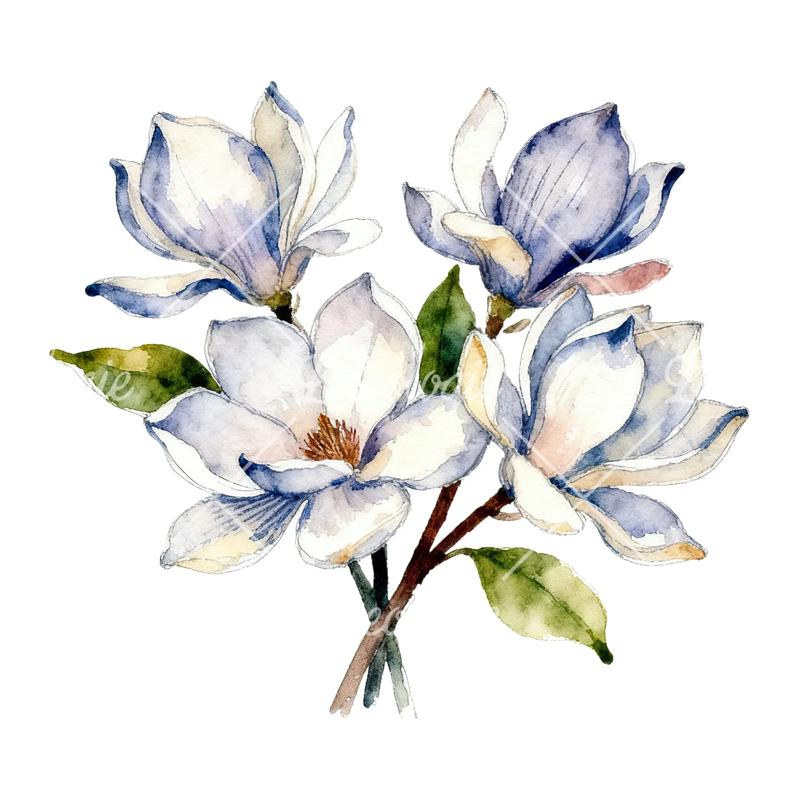 Watercolor cream pink and blue magnolia bouquet clipart 3 of 6 on a white background (JPG)