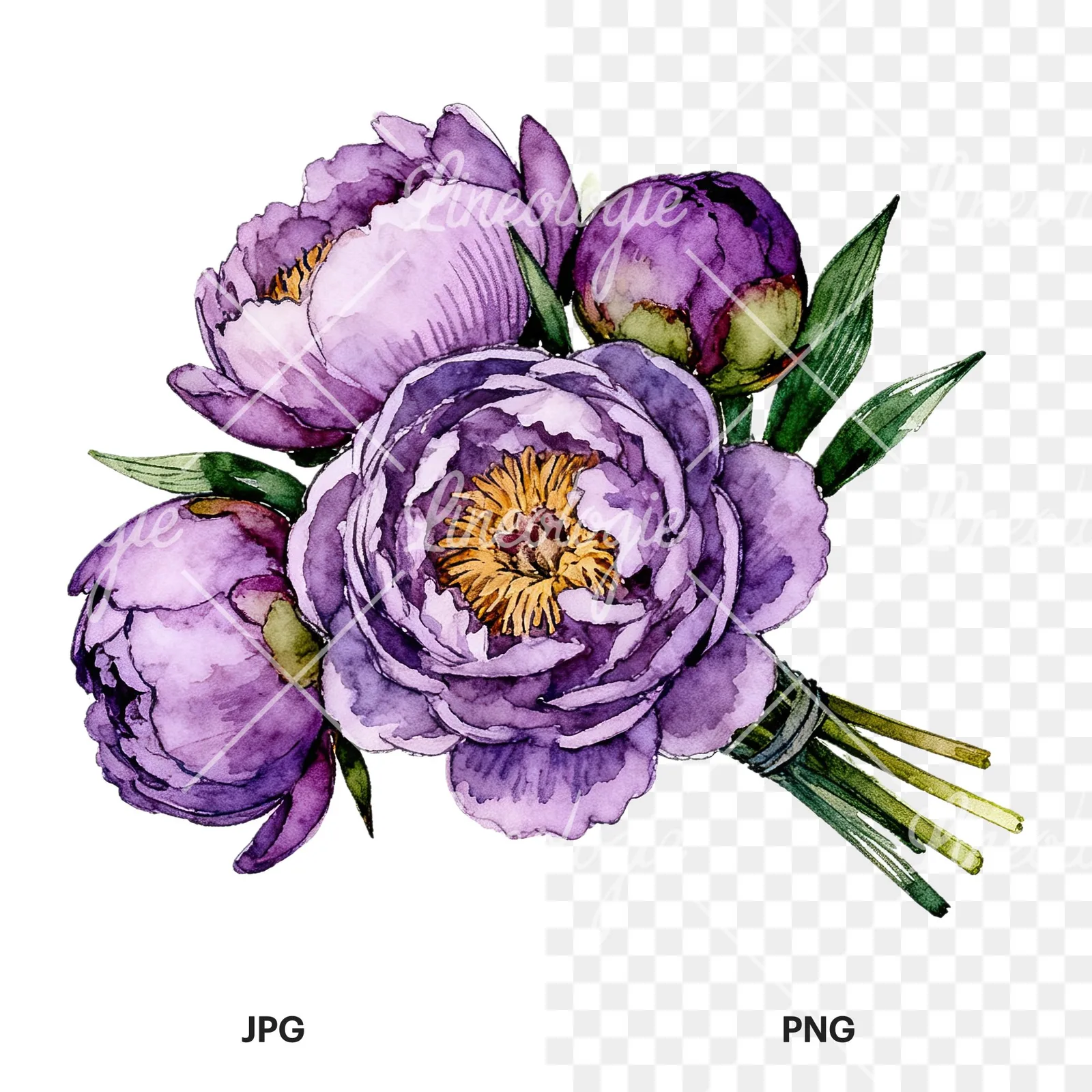 Watercolor purple peony bouquet with buds clipart 6 of 6, as a JPG on white and a transparent PNG