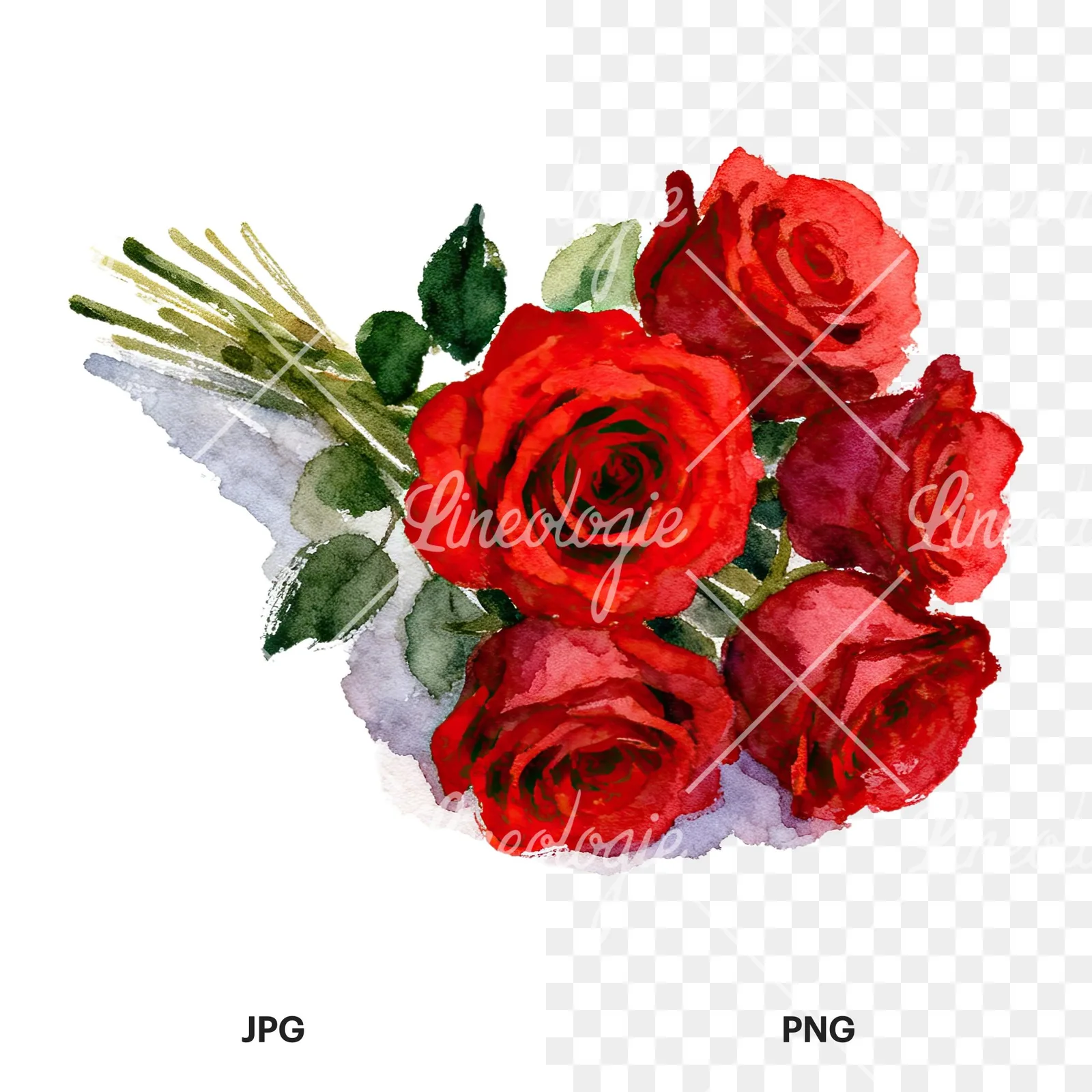 Watercolor red rose bouquet with greenery clipart 1 of 6, as a JPG on white and a transparent PNG