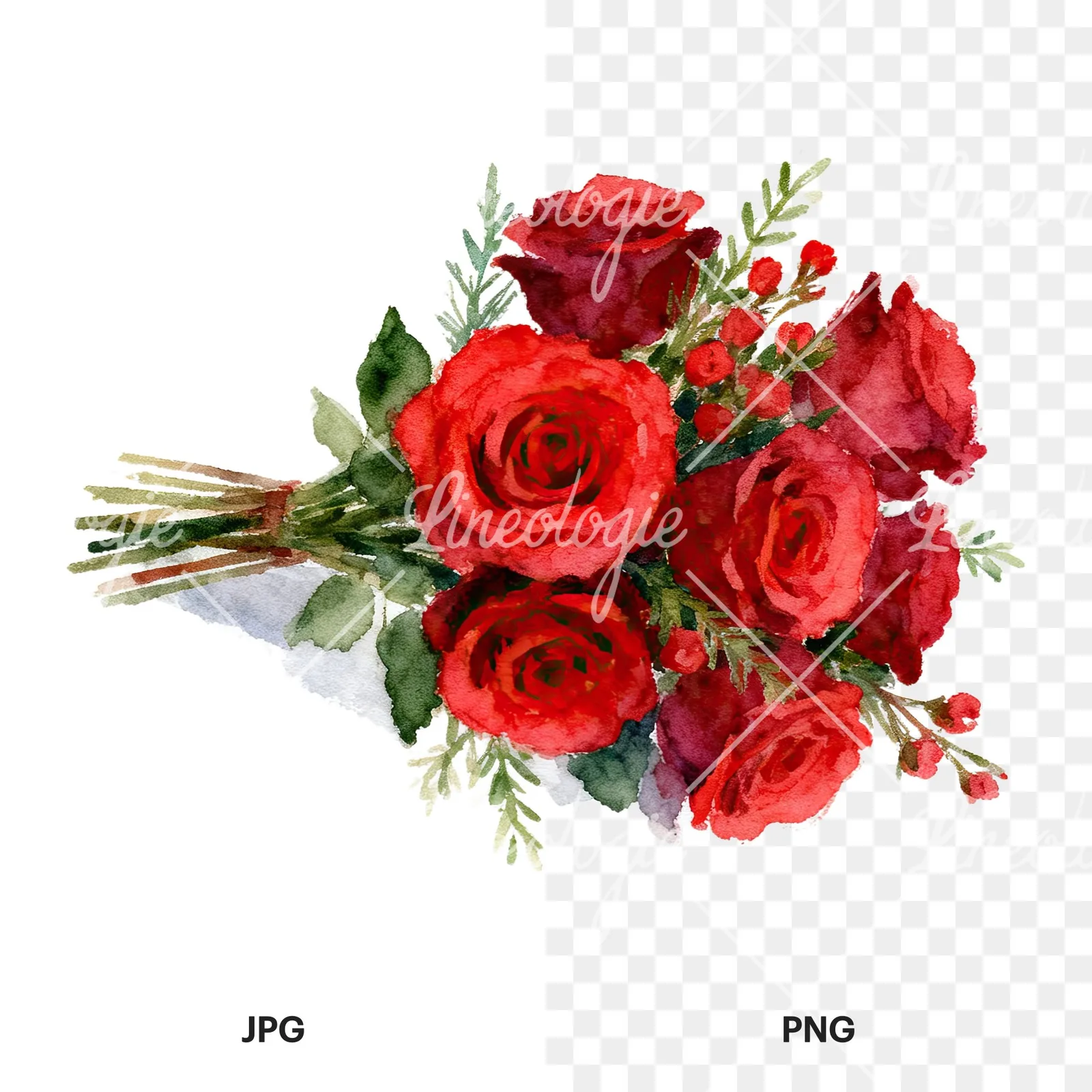 Watercolor red rose bouquet with greenery clipart 2 of 6, as a JPG on white and a transparent PNG