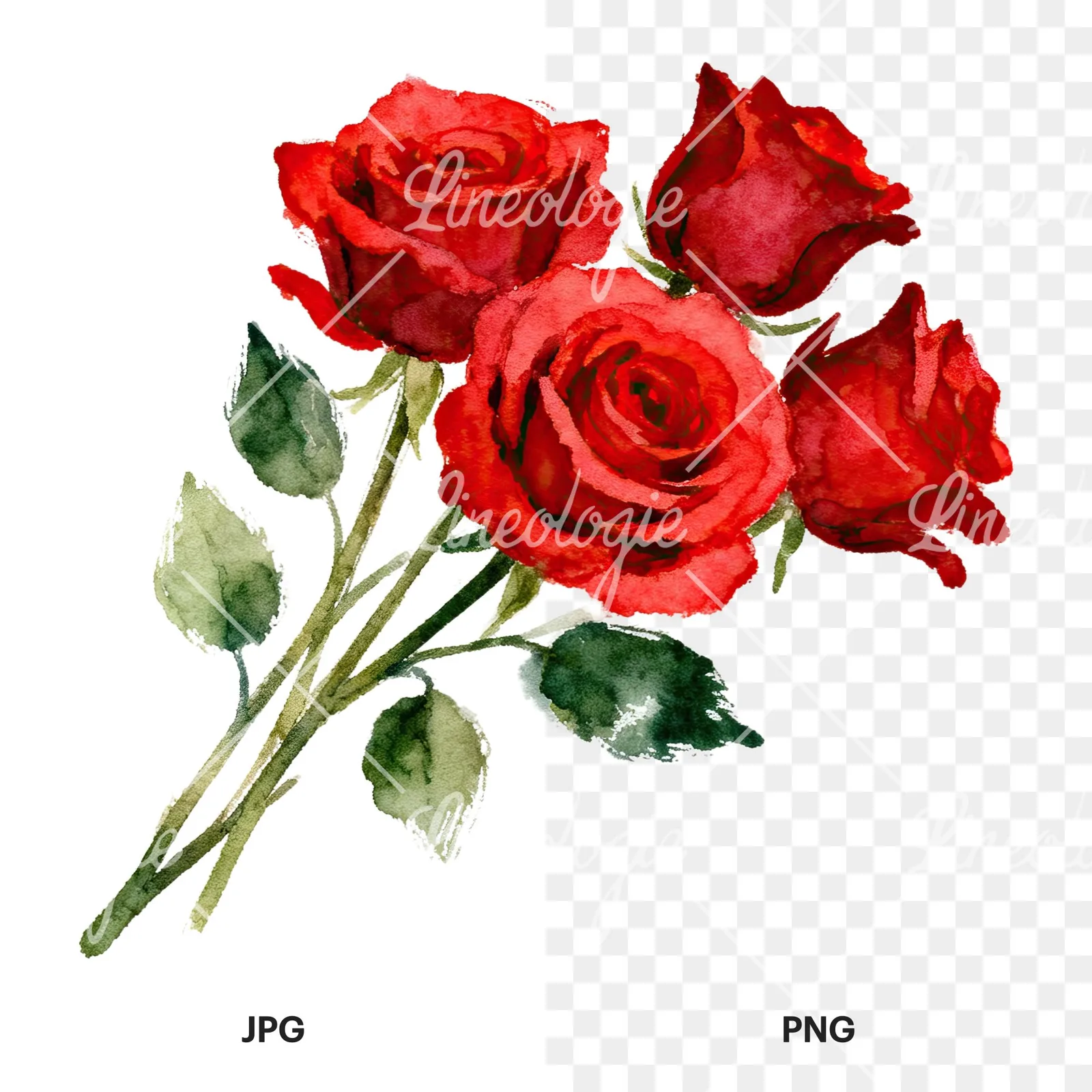 Watercolor red rose bouquet with greenery clipart 3 of 6, as a JPG on white and a transparent PNG