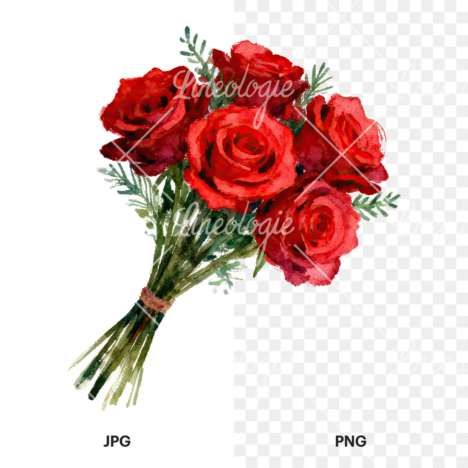 Watercolor red rose bouquet with greenery clipart 4 of 6, as a JPG on white and a transparent PNG