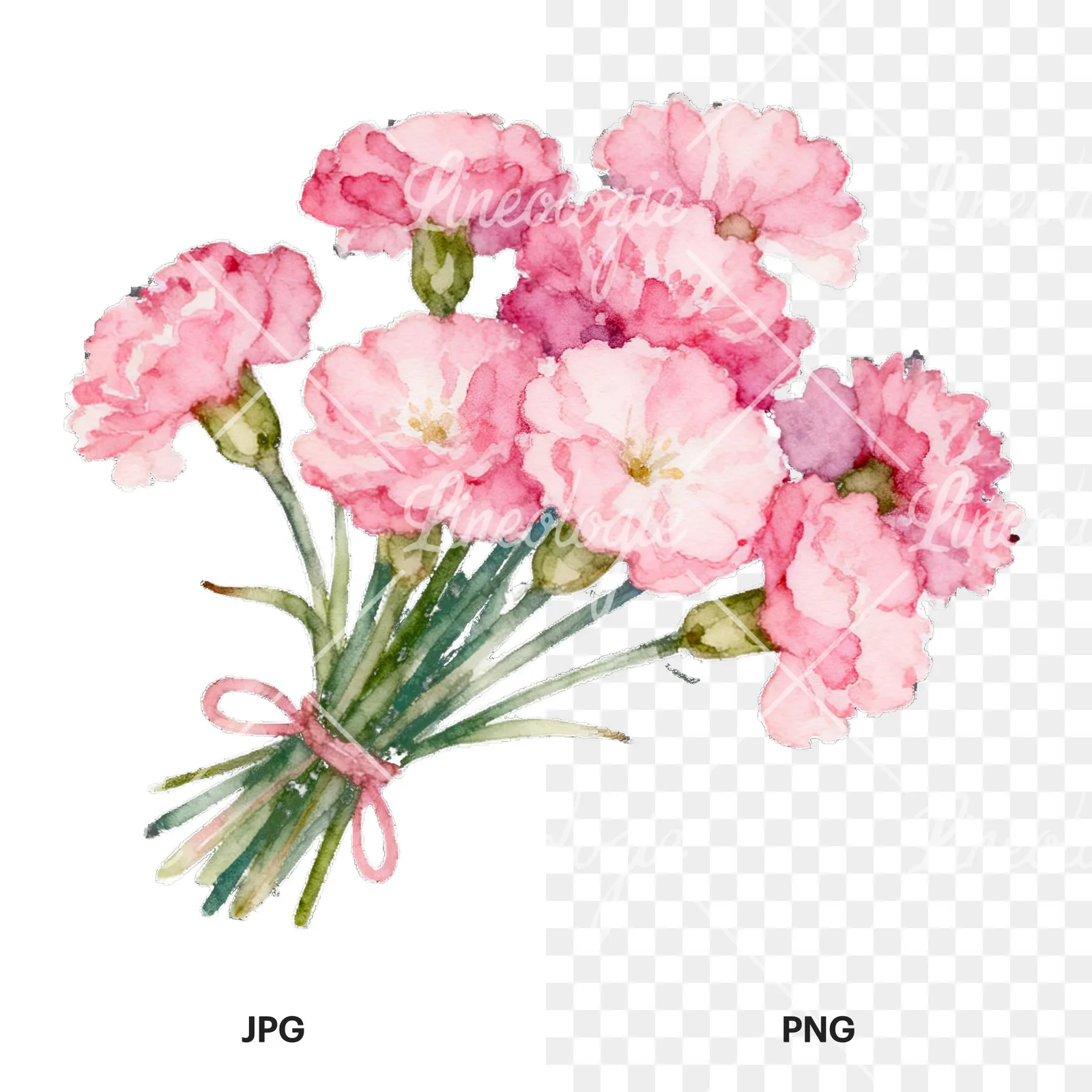 Watercolor blue pink white cornflower bouquet clipart 3 of 6, as a JPG on white and a transparent PNG