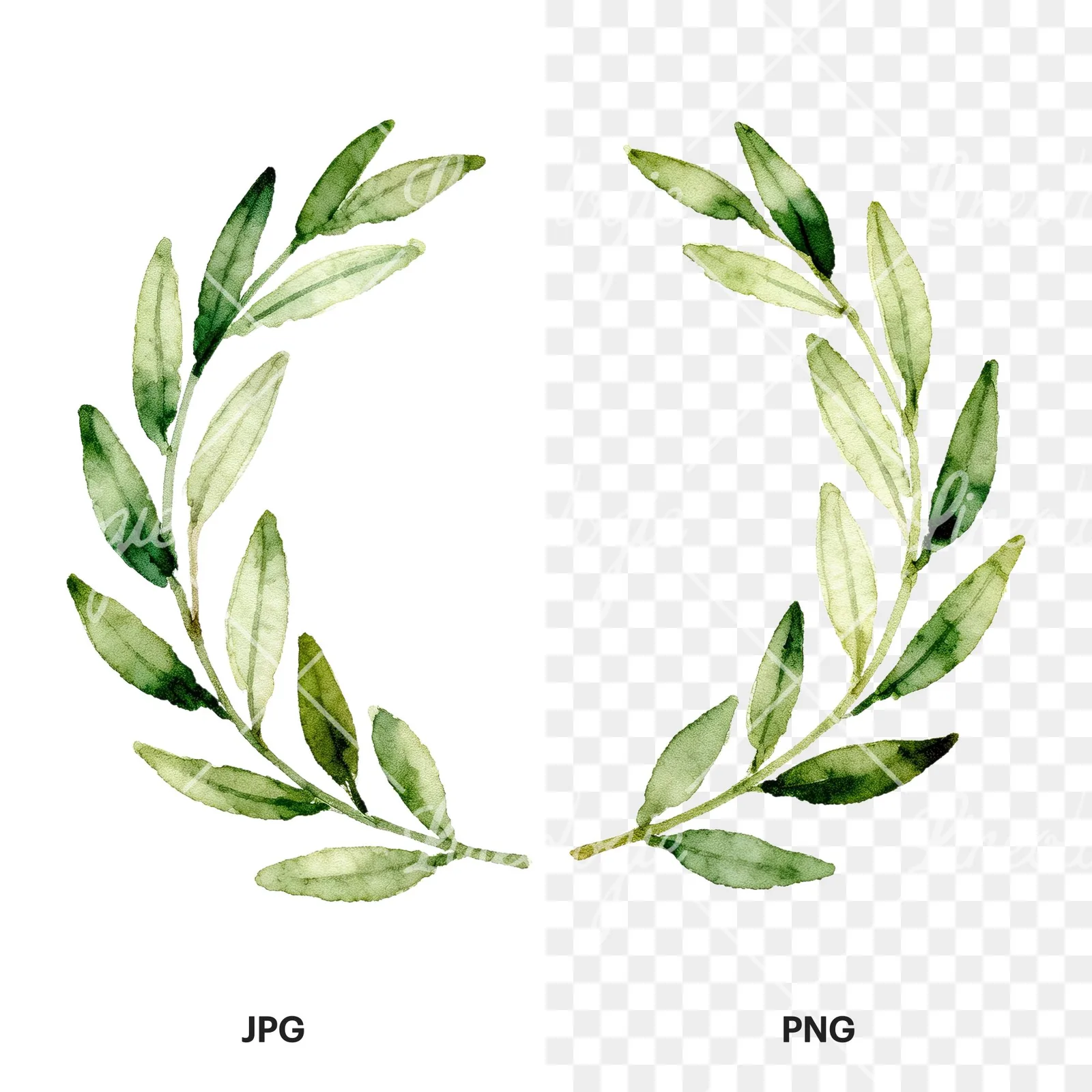 Watercolor continuous laurel wreath clipart 3 of 6, as a JPG on white and a transparent PNG