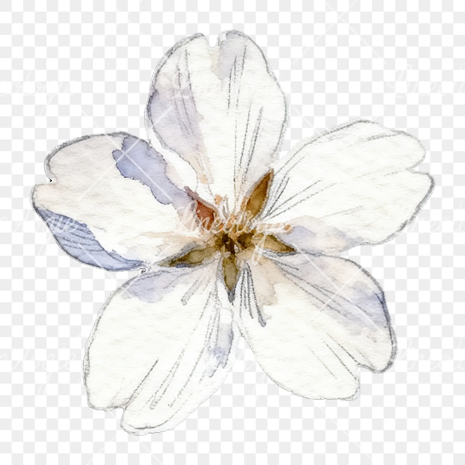 Watercolor pale pink cherry blossom clipart 7 of 8 on a transparent background (PNG)