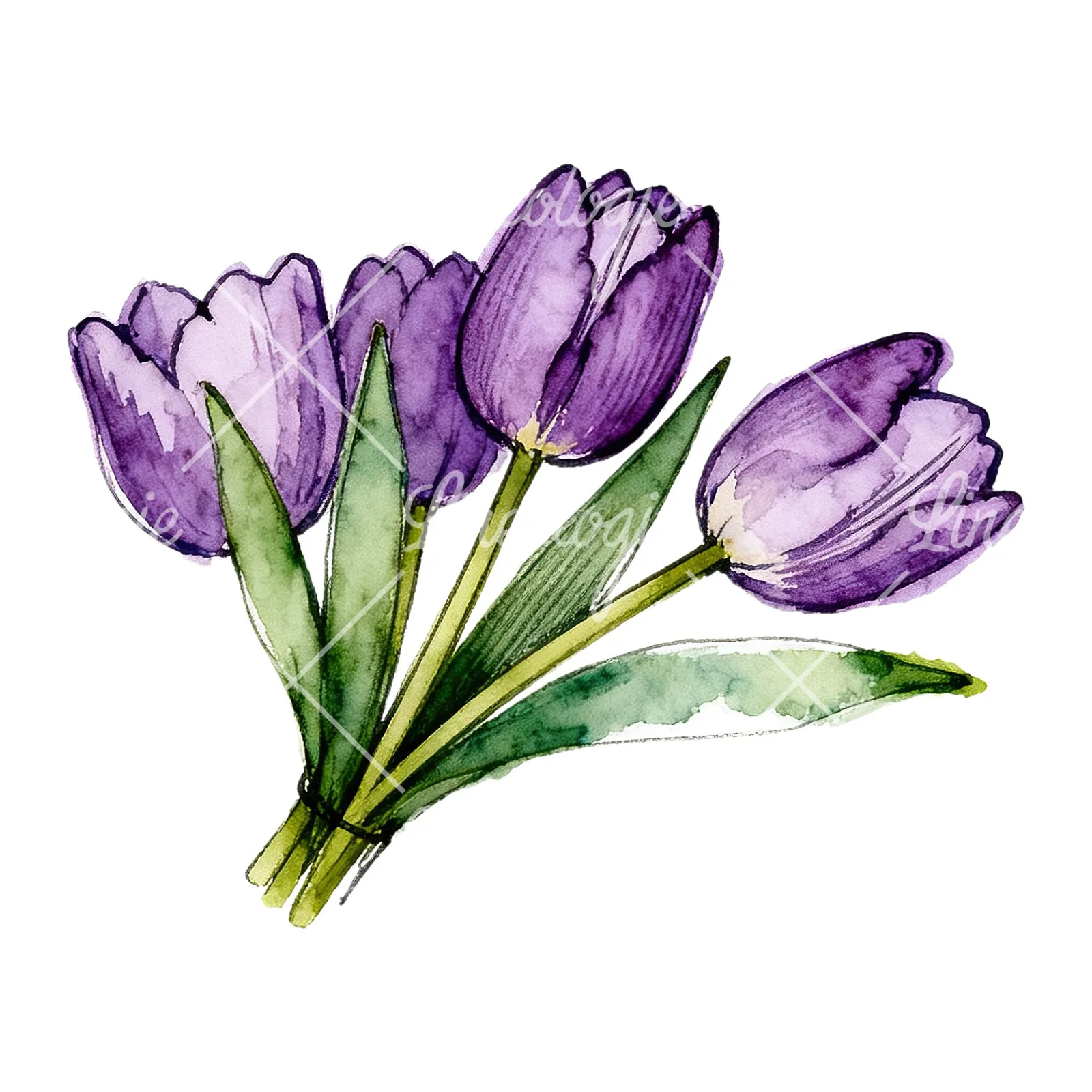 Watercolor loose purple tulip bouquet clipart 4 of 8 on a white background (JPG)