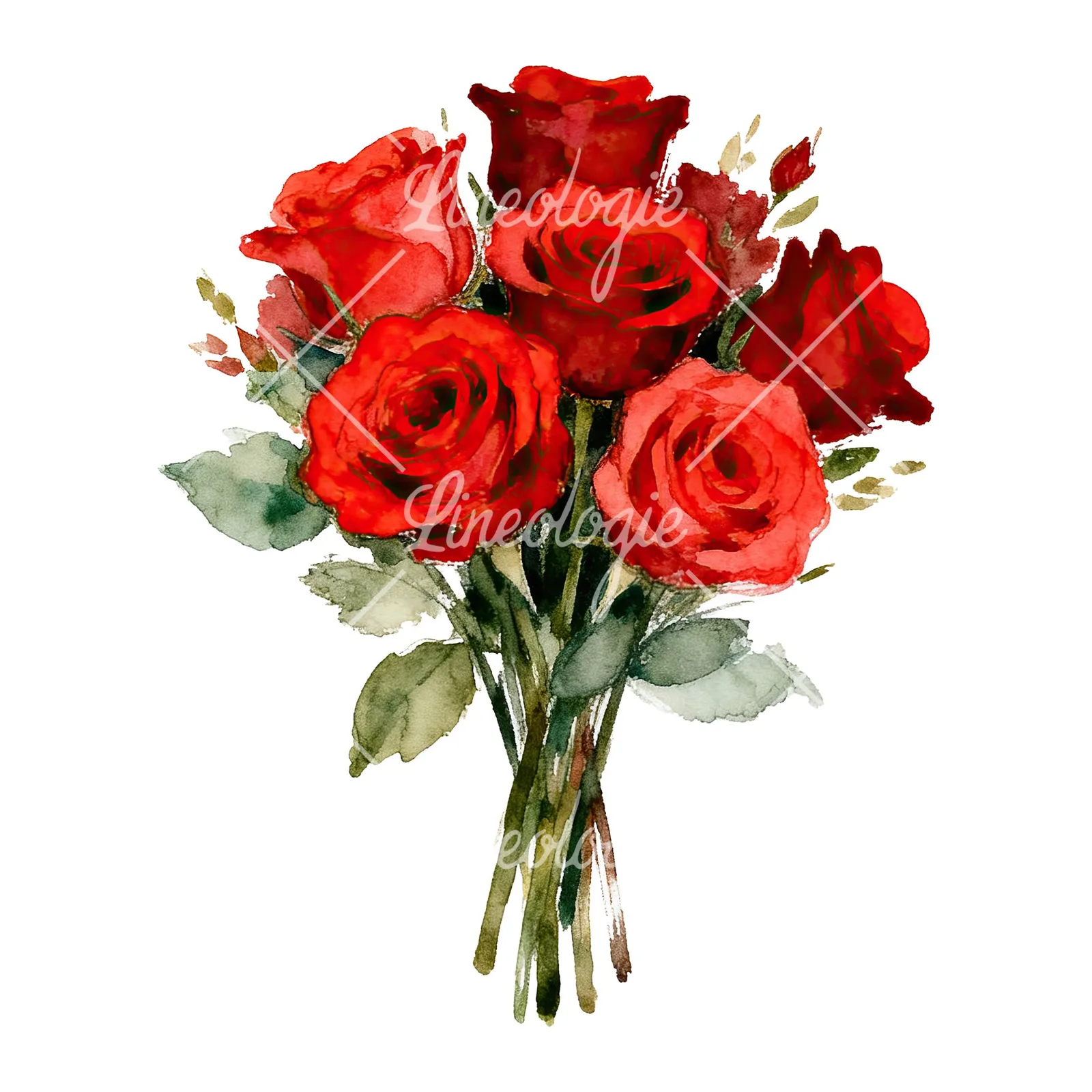Watercolor classic red rose bouquet clipart 3 of 8 on a white background (JPG)