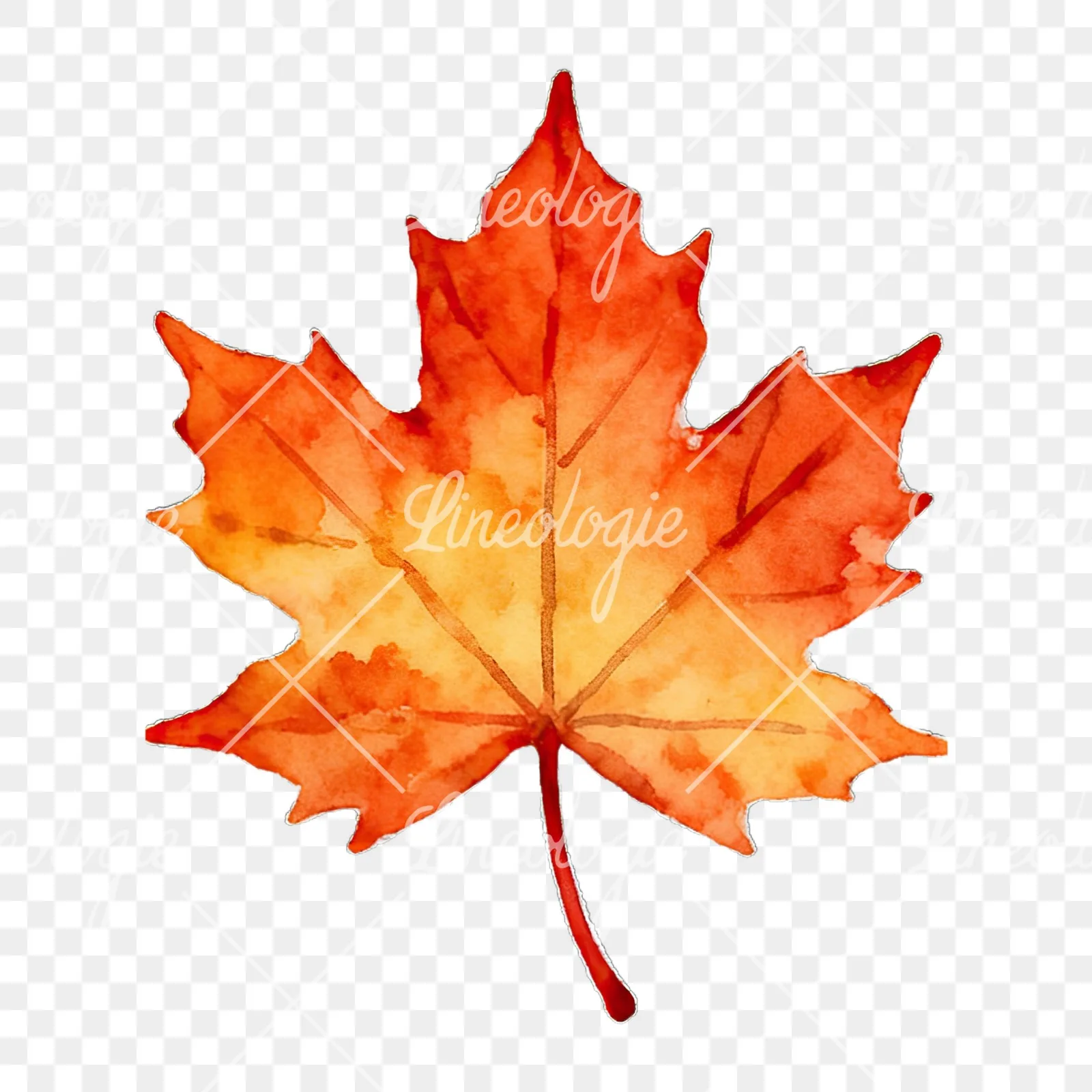 Watercolor autumn leaf with lobes clipart 2 of 9 on a transparent background (PNG)