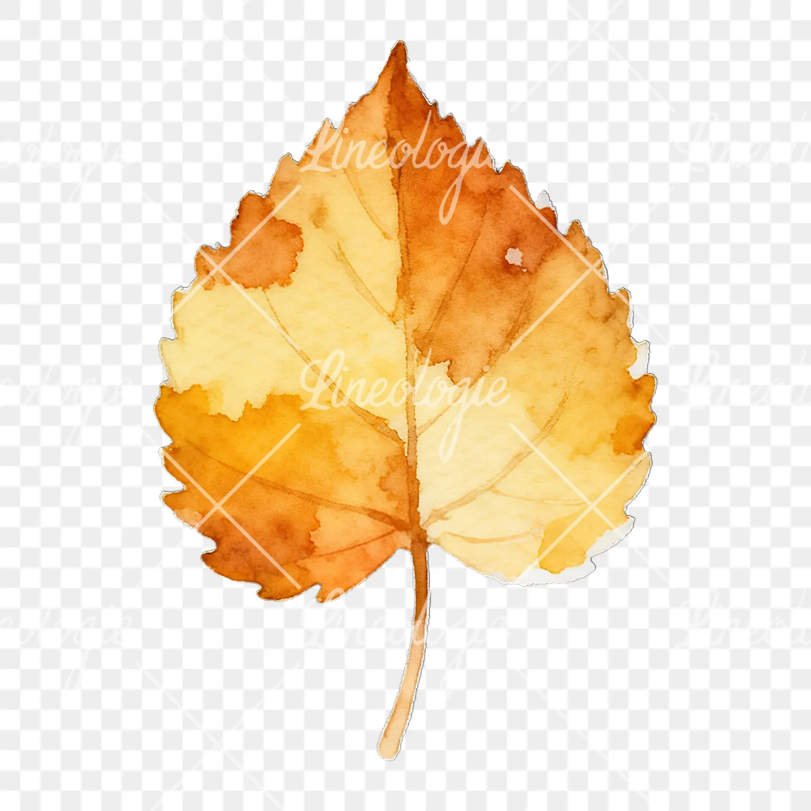 Watercolor autumn leaf with lobes clipart 3 of 9 on a transparent background (PNG)