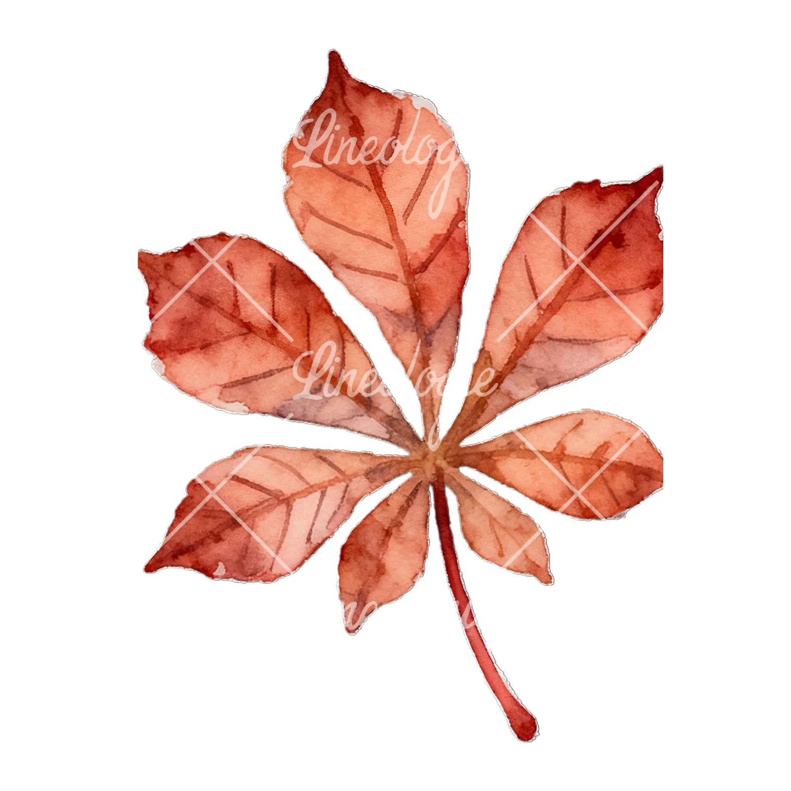 Watercolor autumn leaf with lobes clipart 6 of 9 on a white background (JPG)