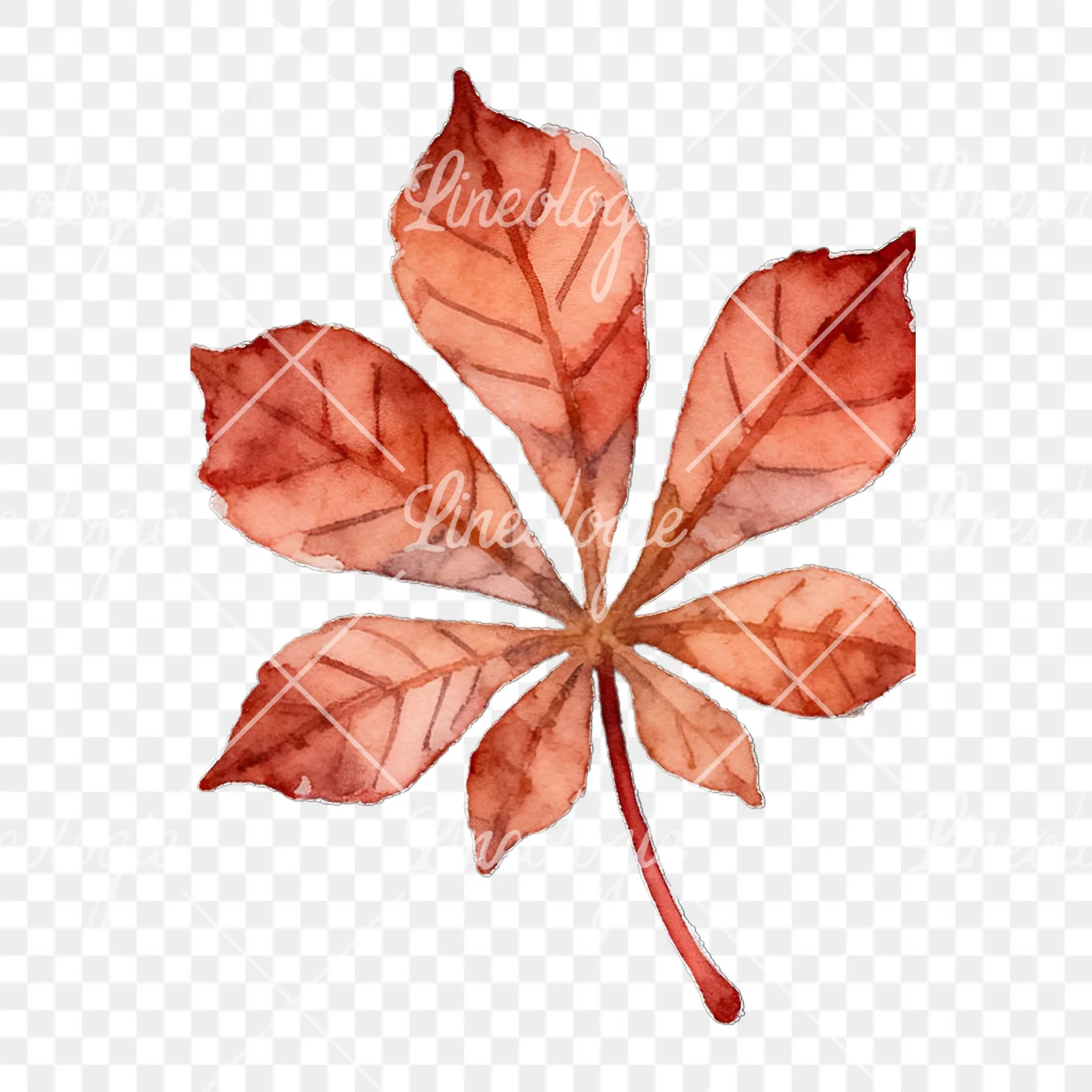Watercolor autumn leaf with lobes clipart 6 of 9 on a transparent background (PNG)
