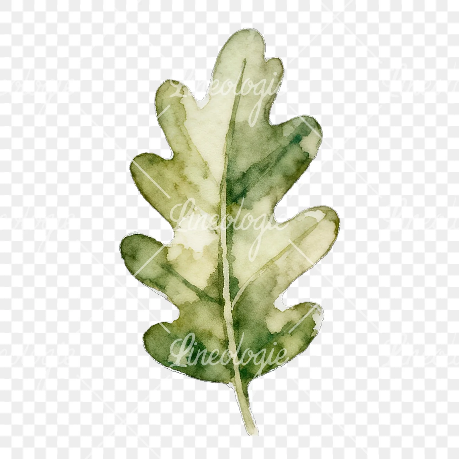 Watercolor autumn leaf with lobes clipart 8 of 9 on a transparent background (PNG)