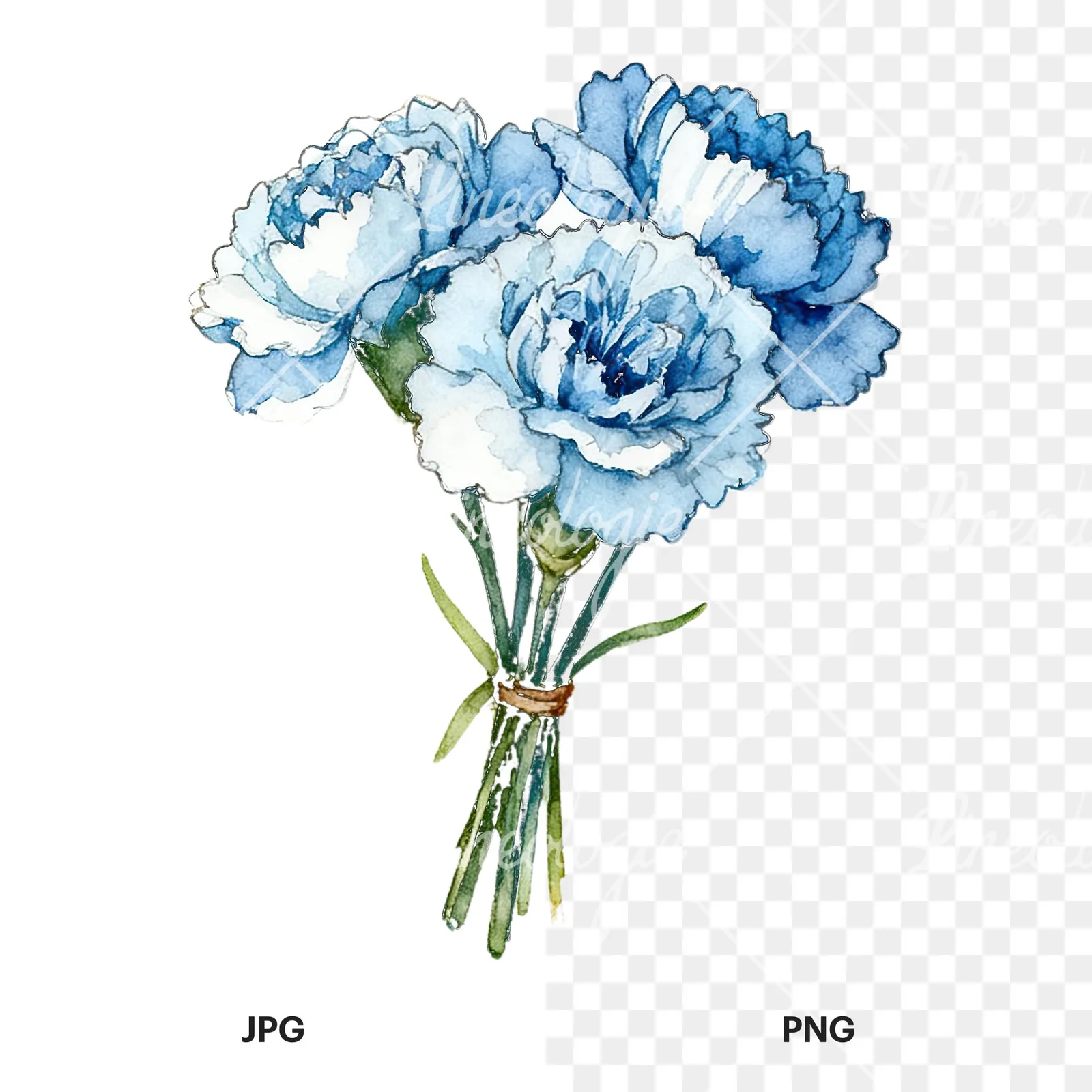 Watercolor baby blue carnation bouquet clipart 1 of 9, as a JPG on white and a transparent PNG