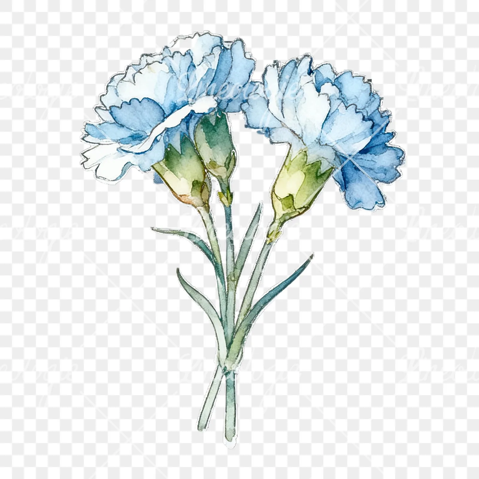 Watercolor baby blue carnation bouquet clipart 3 of 9 on a transparent background (PNG)