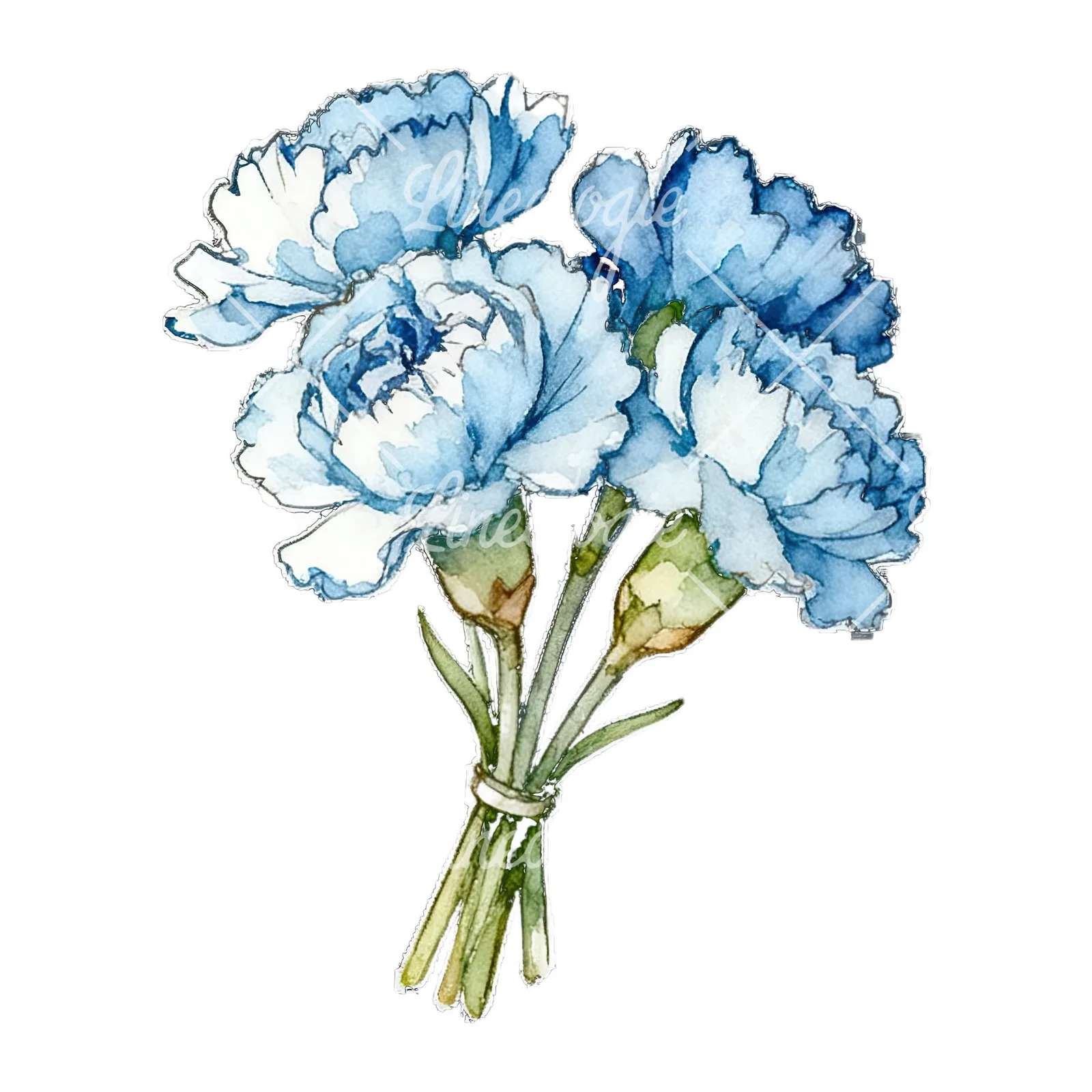Watercolor baby blue carnation bouquet clipart 4 of 9 on a white background (JPG)