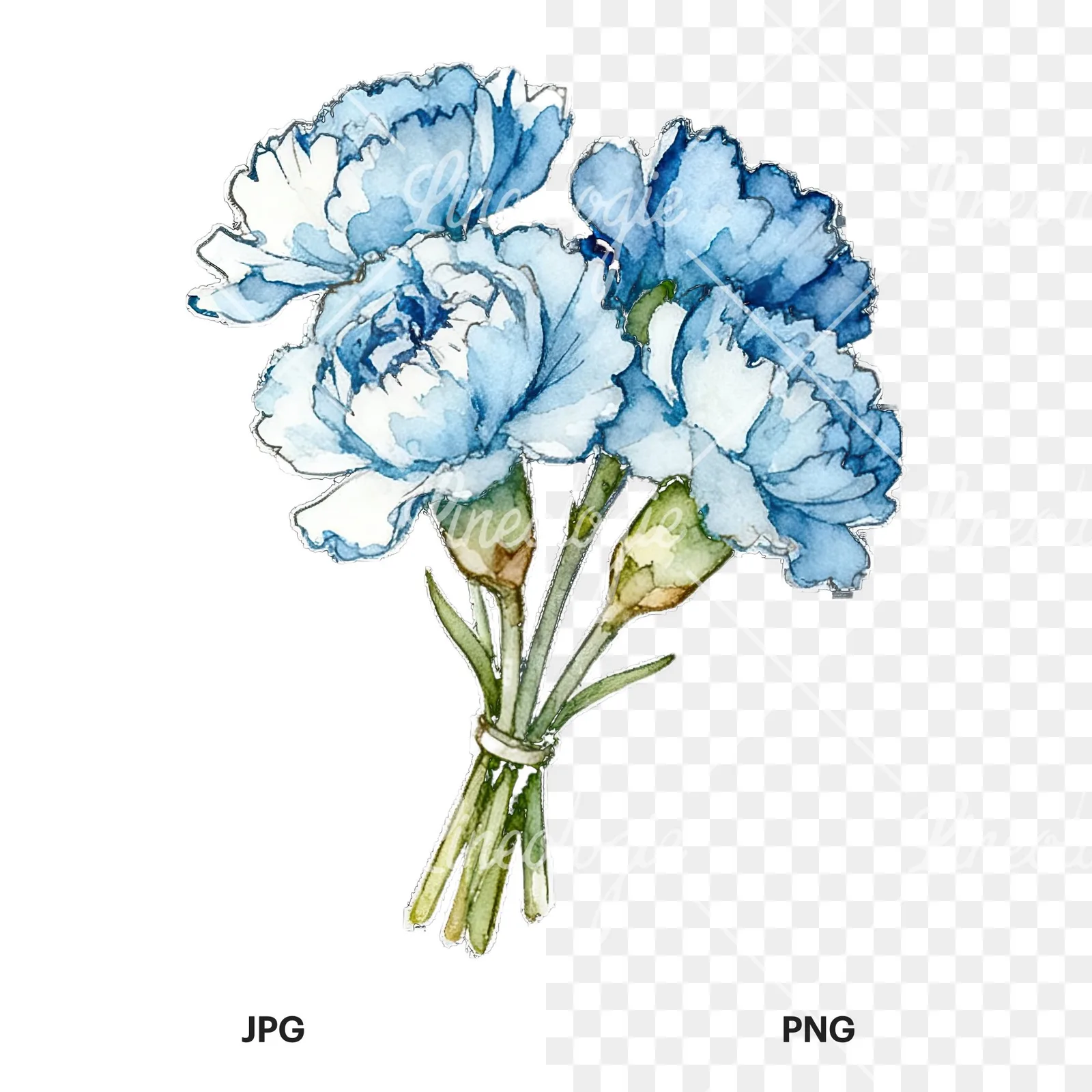 Watercolor baby blue carnation bouquet clipart 4 of 9, as a JPG on white and a transparent PNG