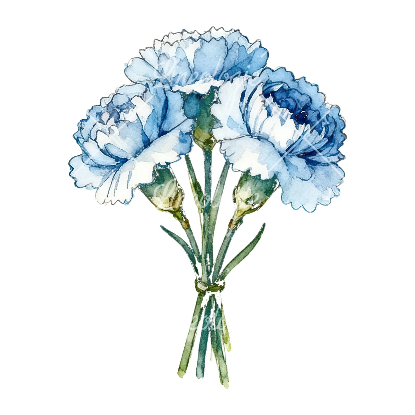 Watercolor baby blue carnation bouquet clipart 5 of 9 on a white background (JPG)