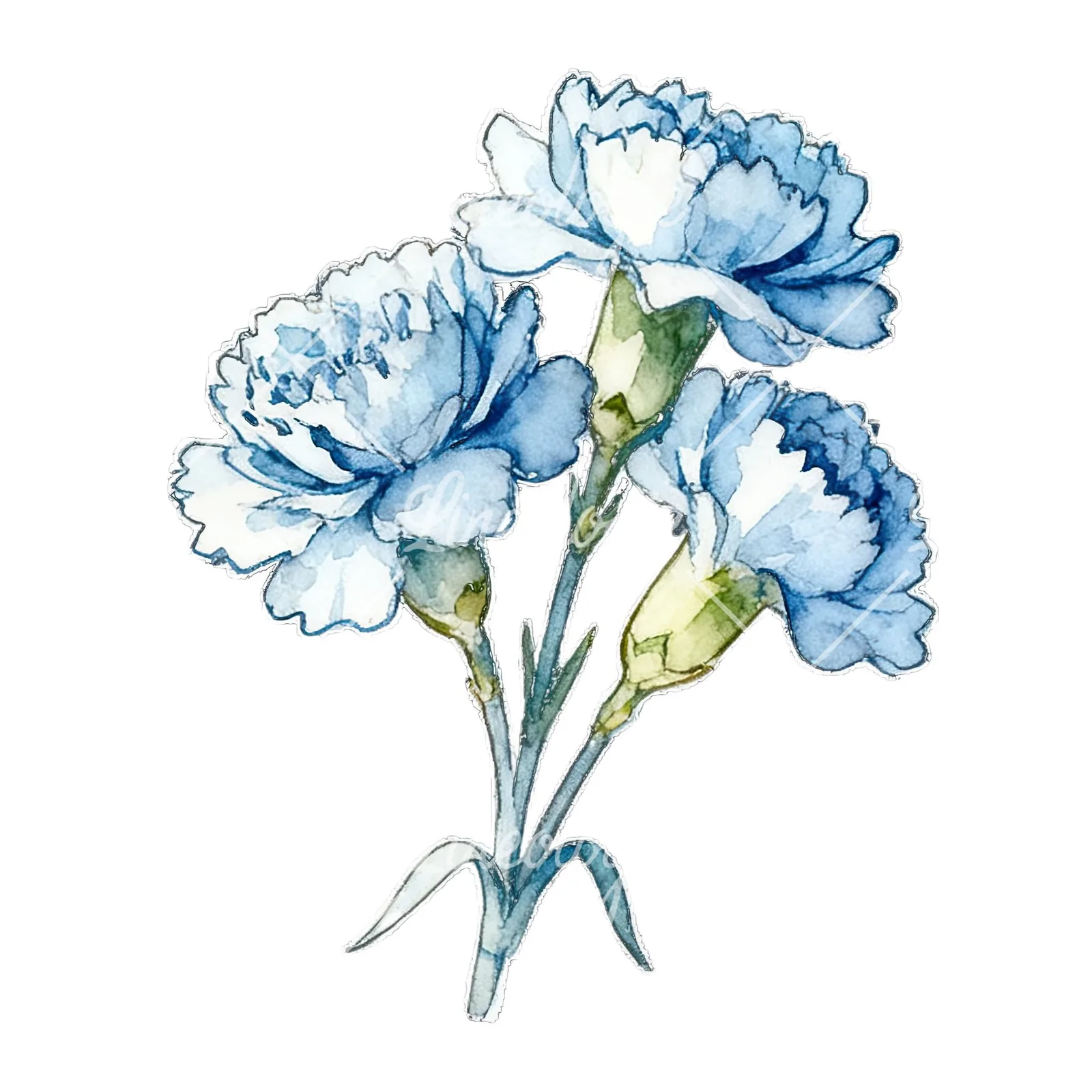 Watercolor baby blue carnation bouquet clipart 6 of 9 on a white background (JPG)