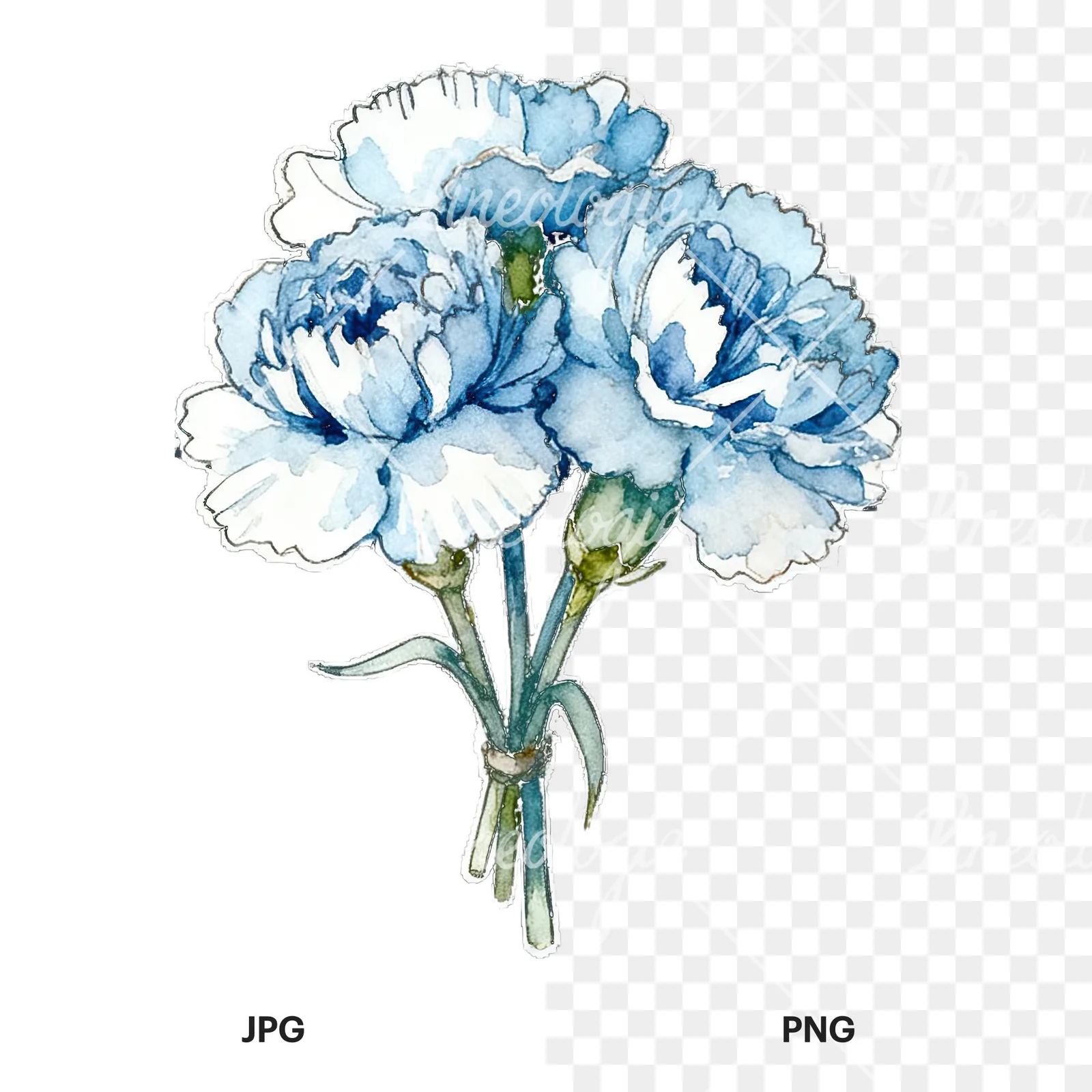 Watercolor baby blue carnation bouquet clipart 7 of 9, as a JPG on white and a transparent PNG
