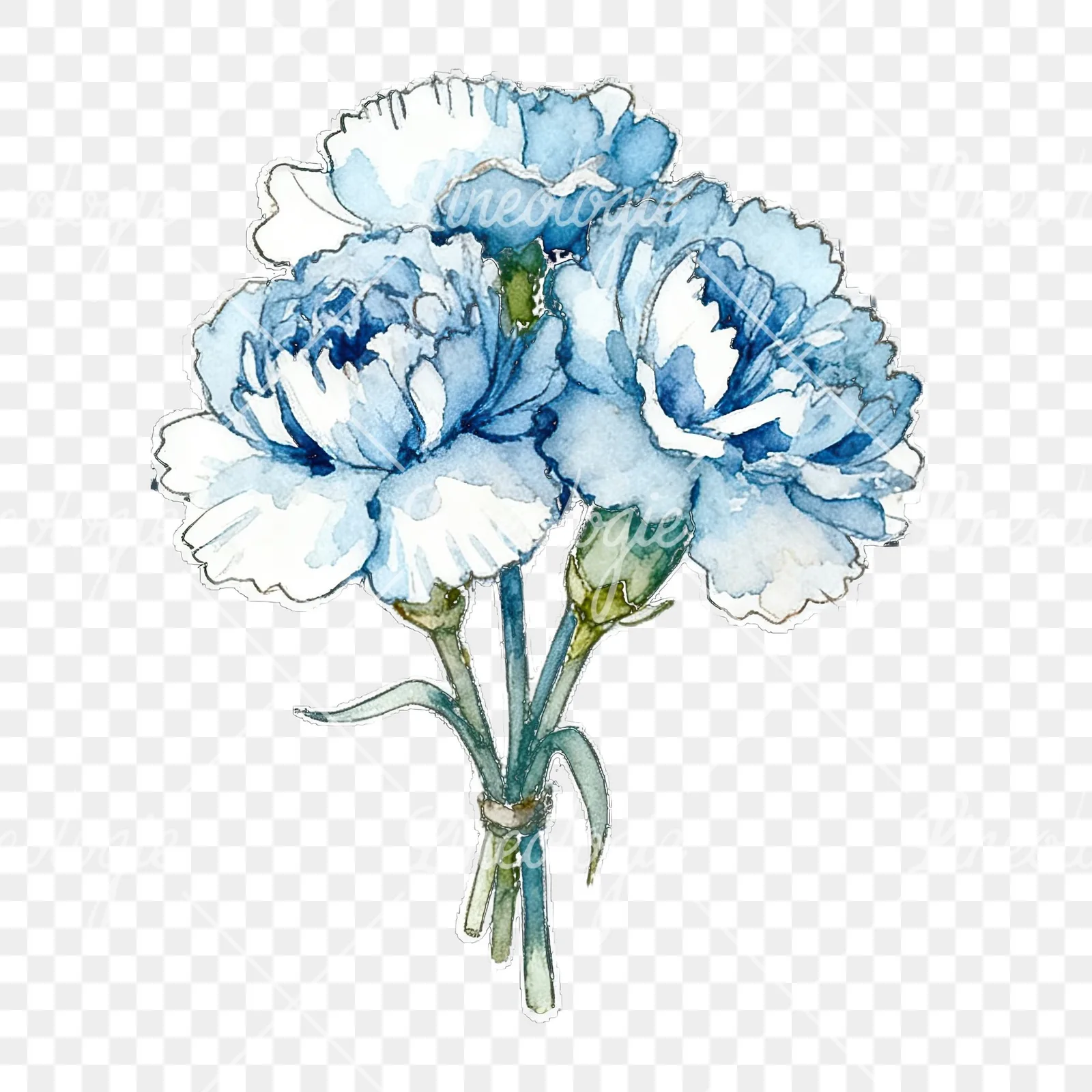 Watercolor baby blue carnation bouquet clipart 7 of 9 on a transparent background (PNG)