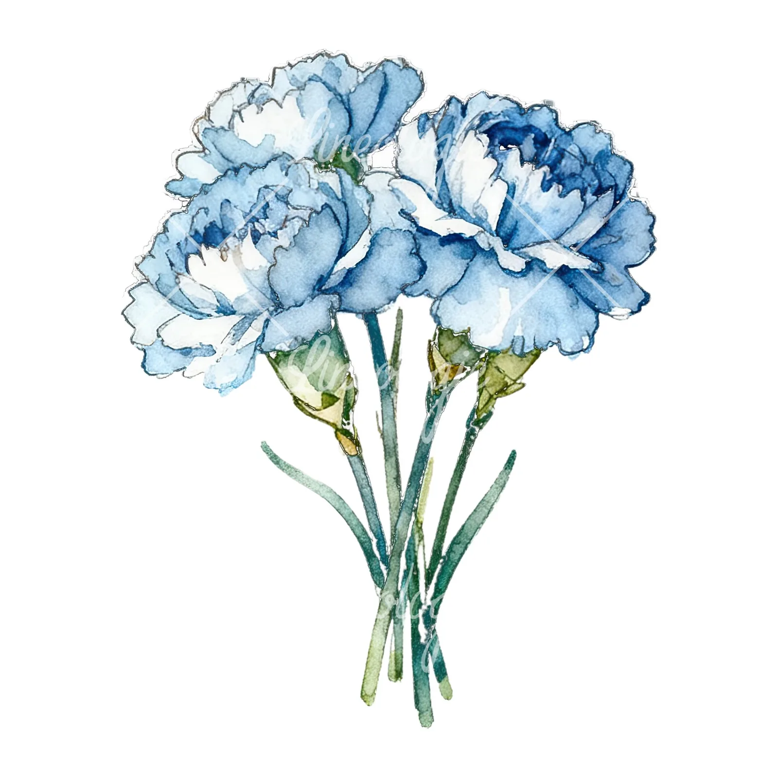 Watercolor baby blue carnation bouquet clipart 8 of 9 on a white background (JPG)