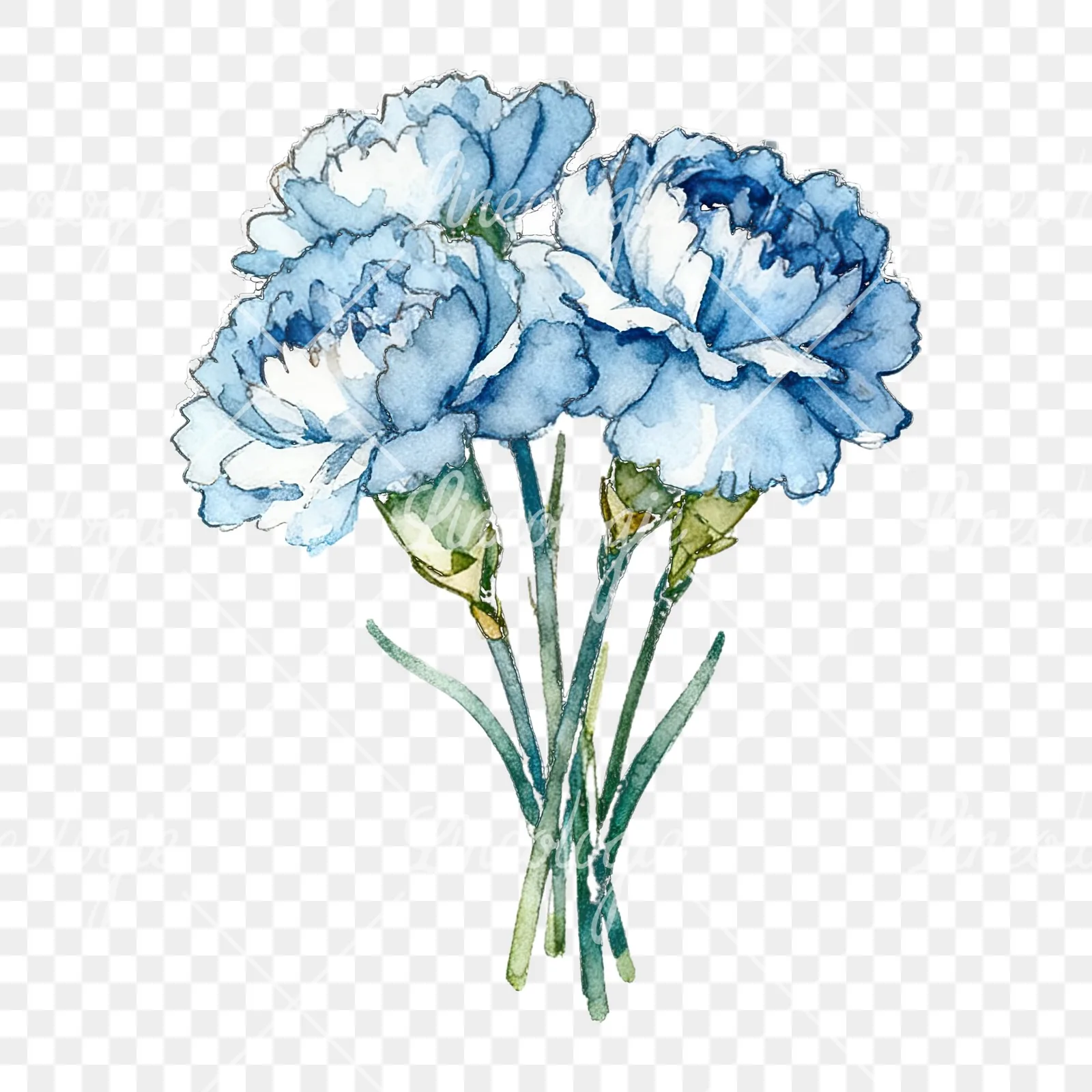 Watercolor baby blue carnation bouquet clipart 8 of 9 on a transparent background (PNG)