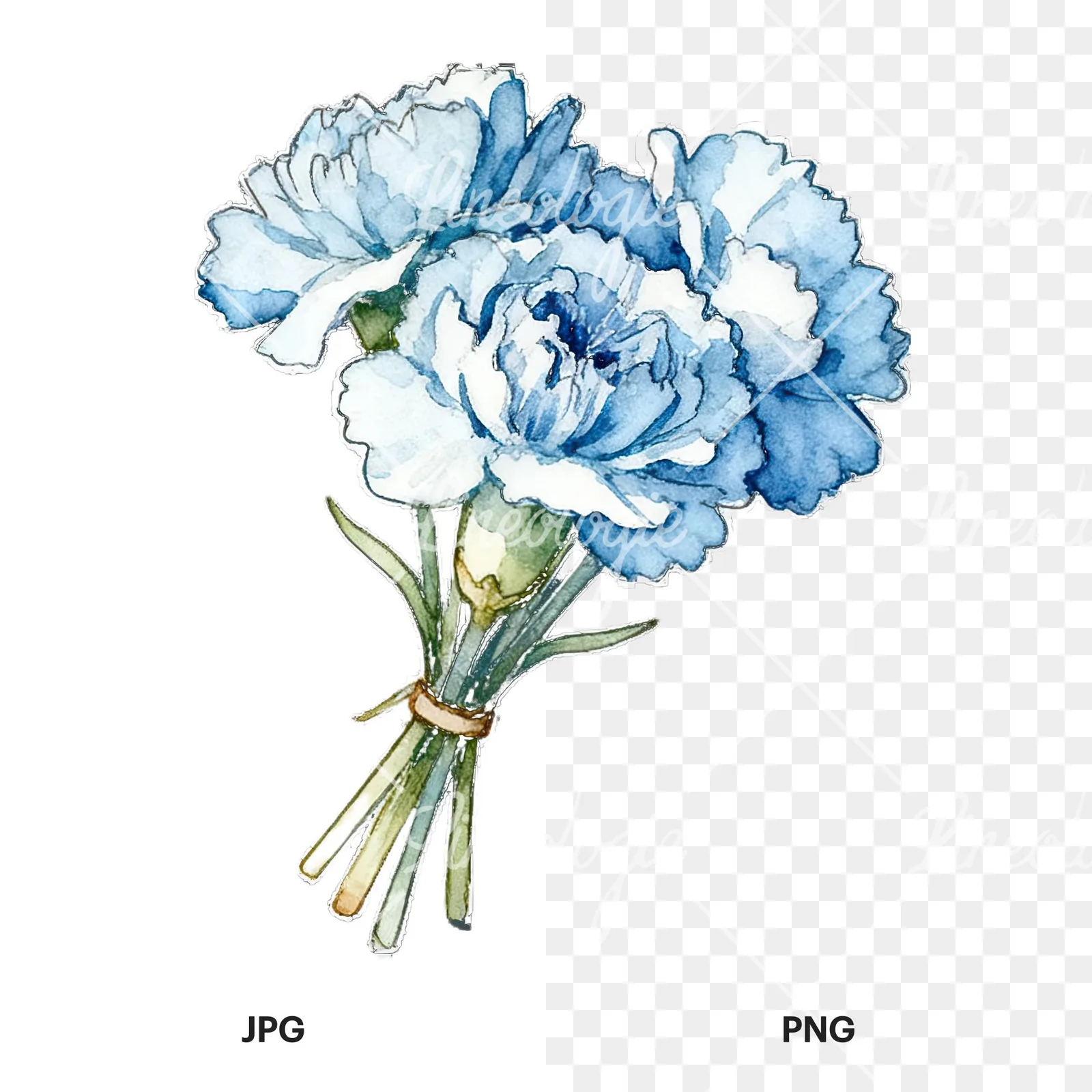 Watercolor baby blue carnation bouquet clipart 9 of 9, as a JPG on white and a transparent PNG