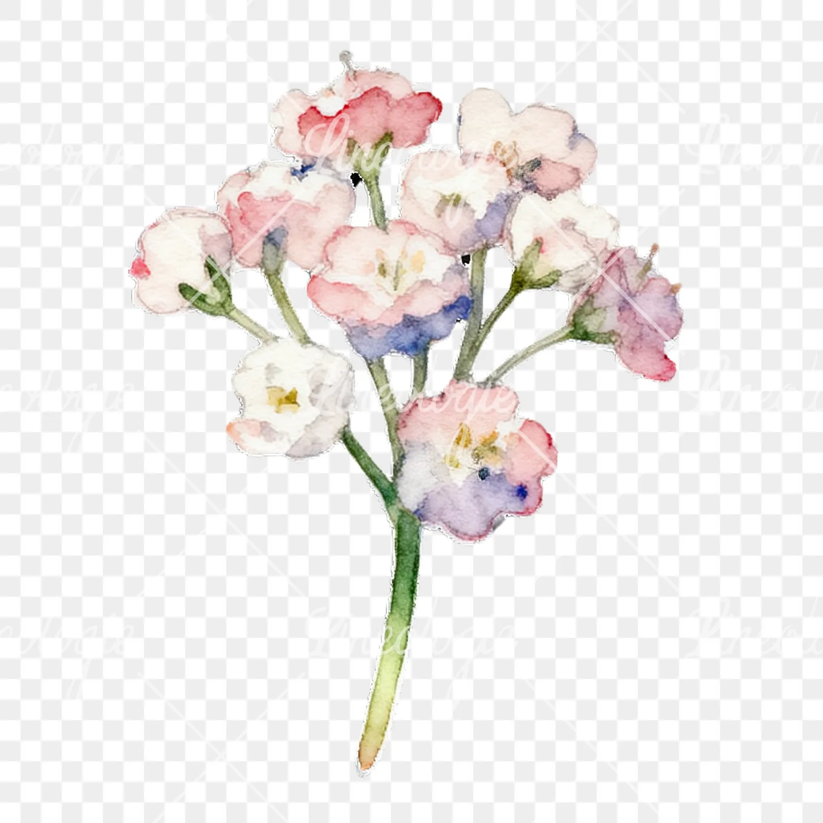 Watercolor colorful babys breath flower clipart 7 of 9 on a transparent background (PNG)