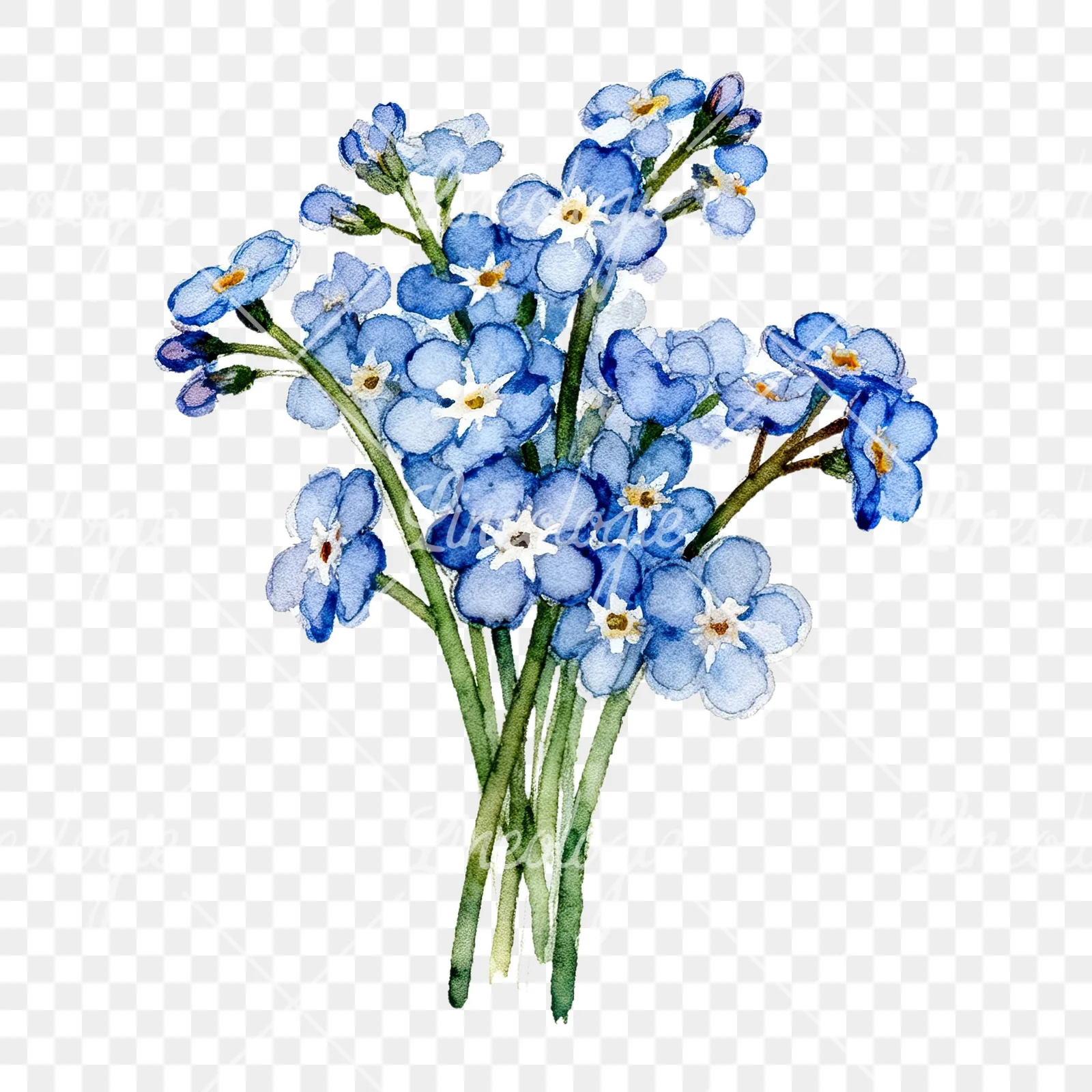 Watercolor blue forget me not flower bouquet clipart 2 of 9 on a transparent background (PNG)