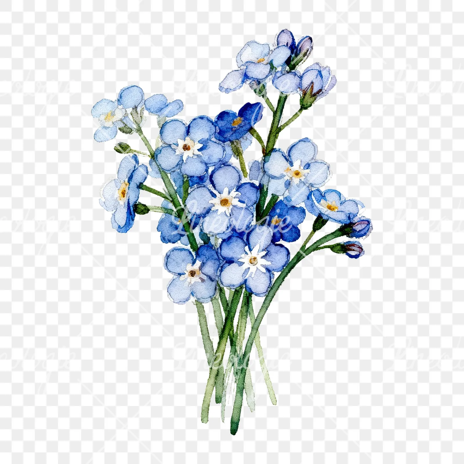 Watercolor blue forget me not flower bouquet clipart 8 of 9 on a transparent background (PNG)