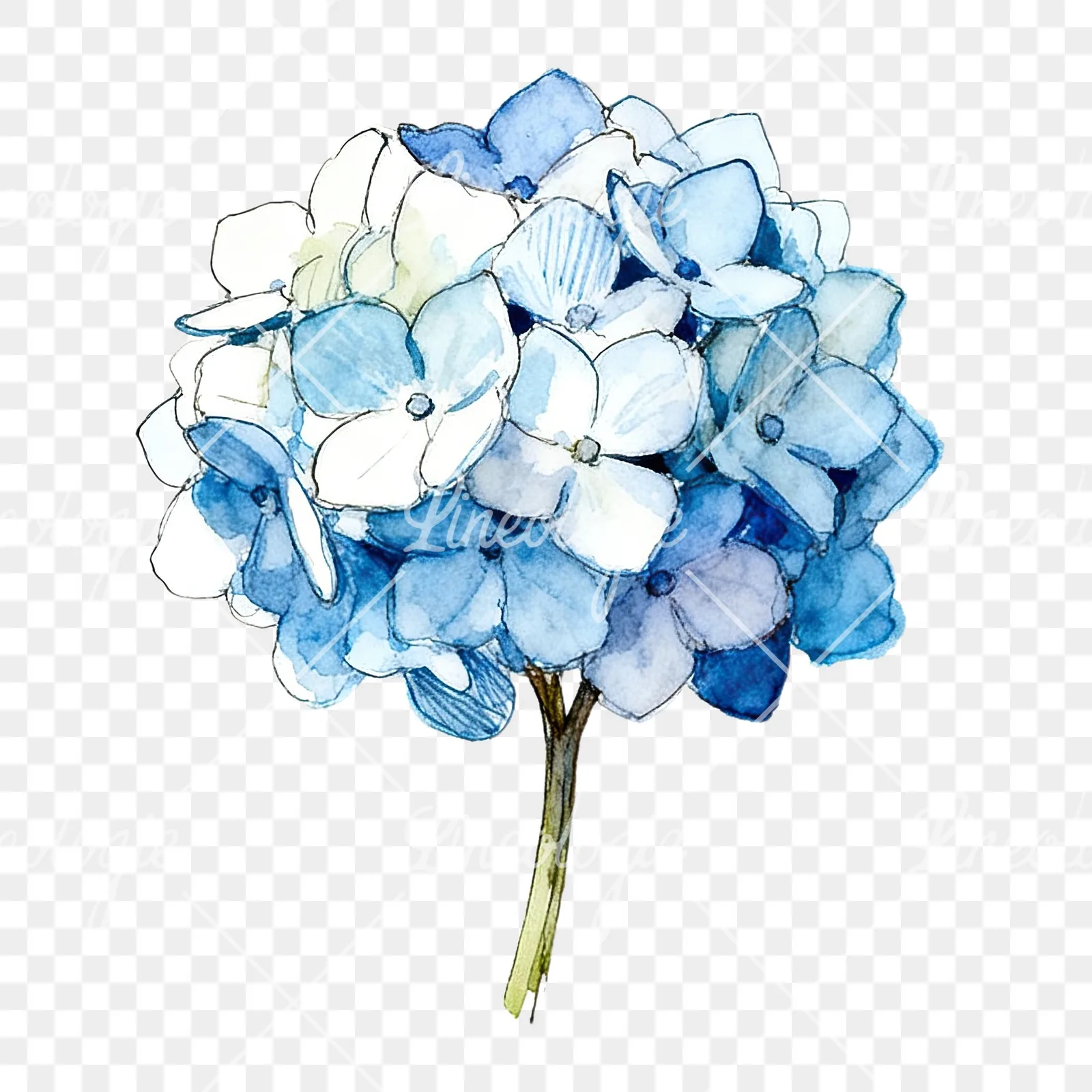 Watercolor blue hydrangea clipart 4 of 9 on a transparent background (PNG)