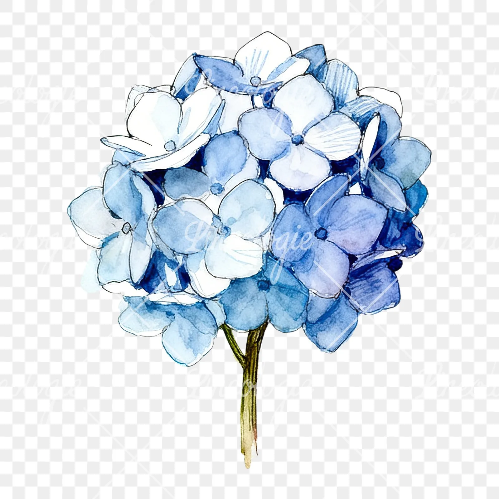 Watercolor blue hydrangea clipart 8 of 9 on a transparent background (PNG)