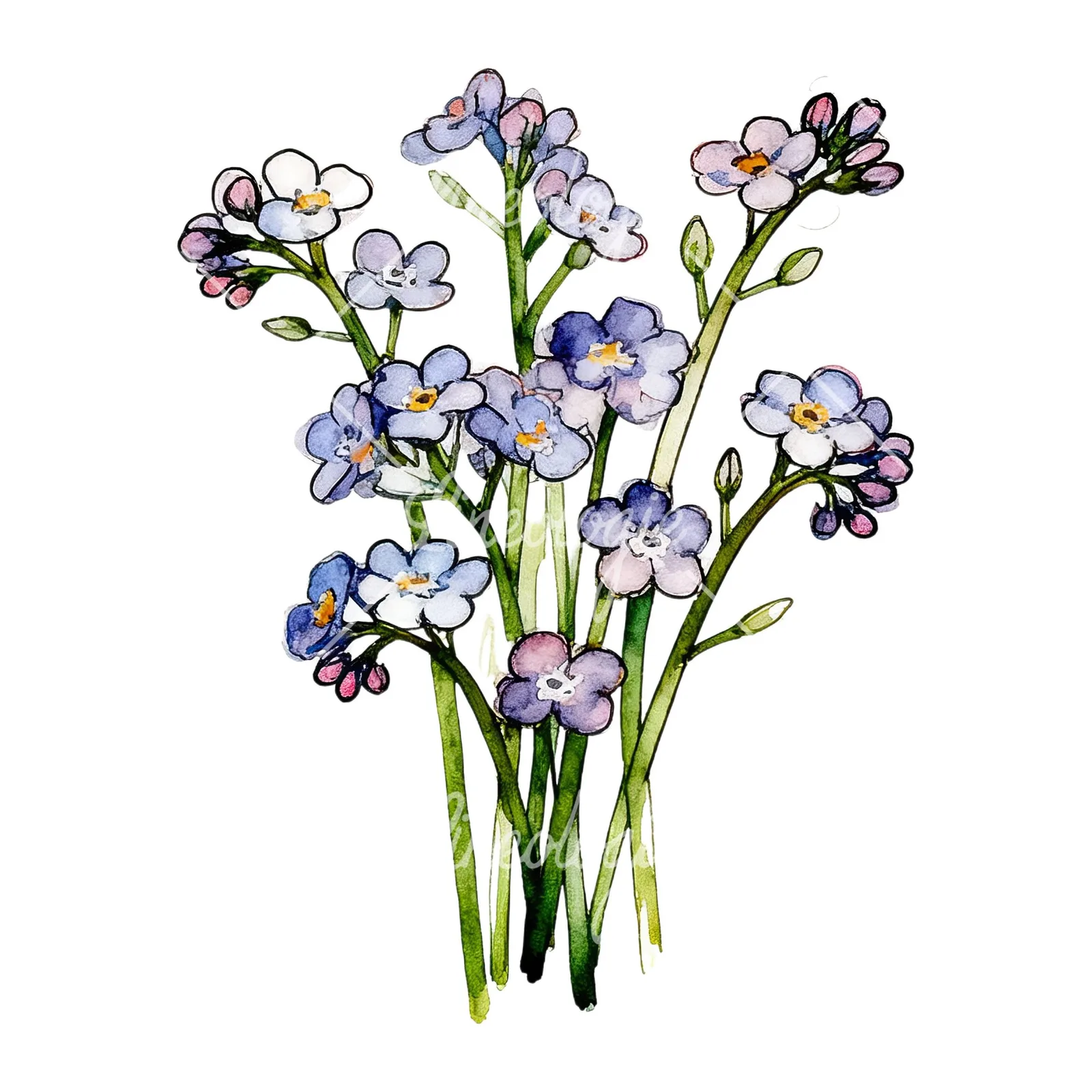 Watercolor blue forget me not bouquet clipart 2 of 9 on a white background (JPG)