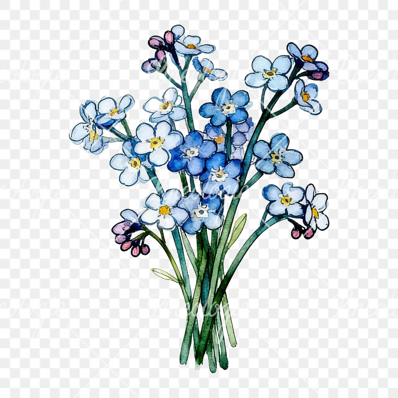 Watercolor blue forget me not bouquet clipart 8 of 9 on a transparent background (PNG)