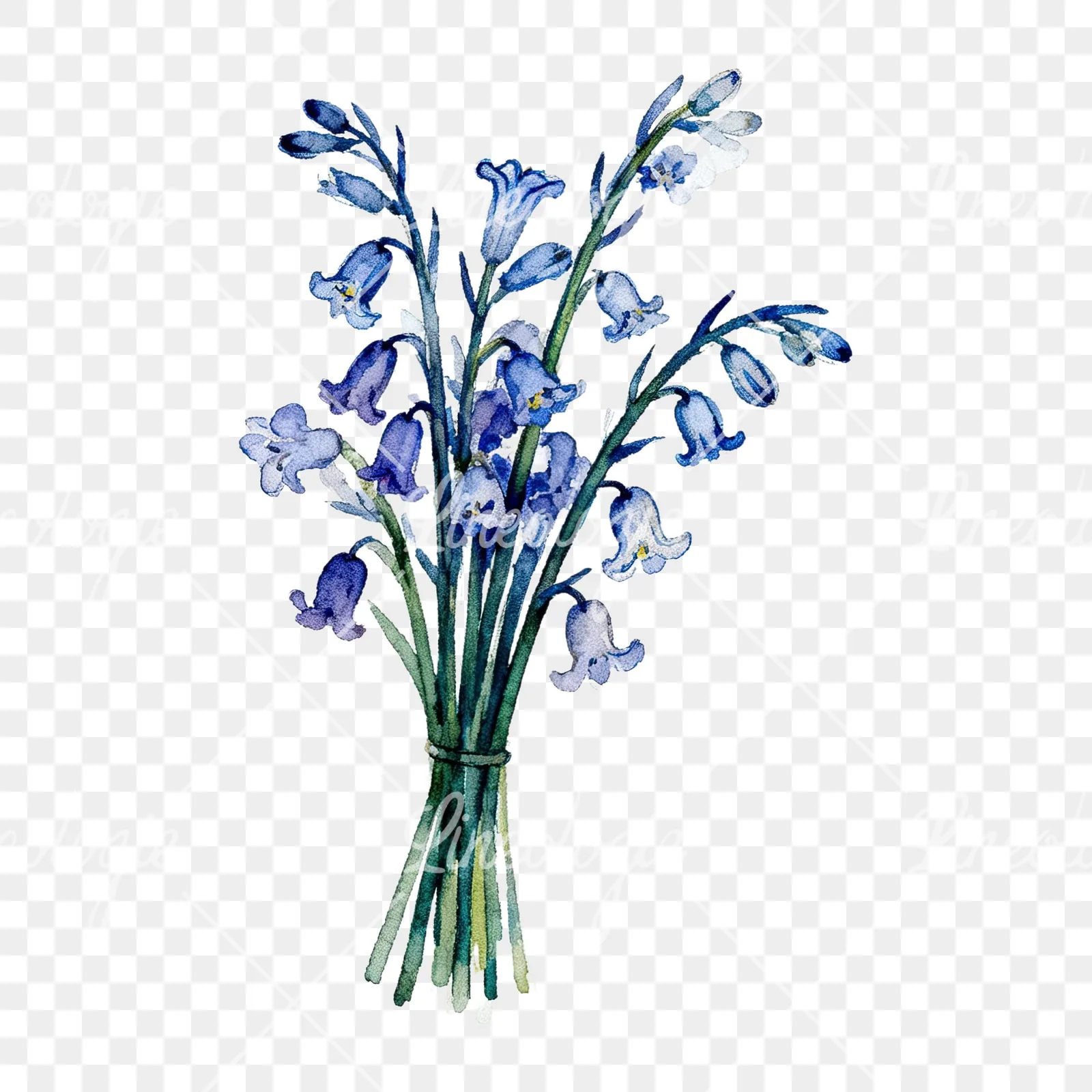 Watercolor bluebell bouquet clipart 5 of 9 on a transparent background (PNG)