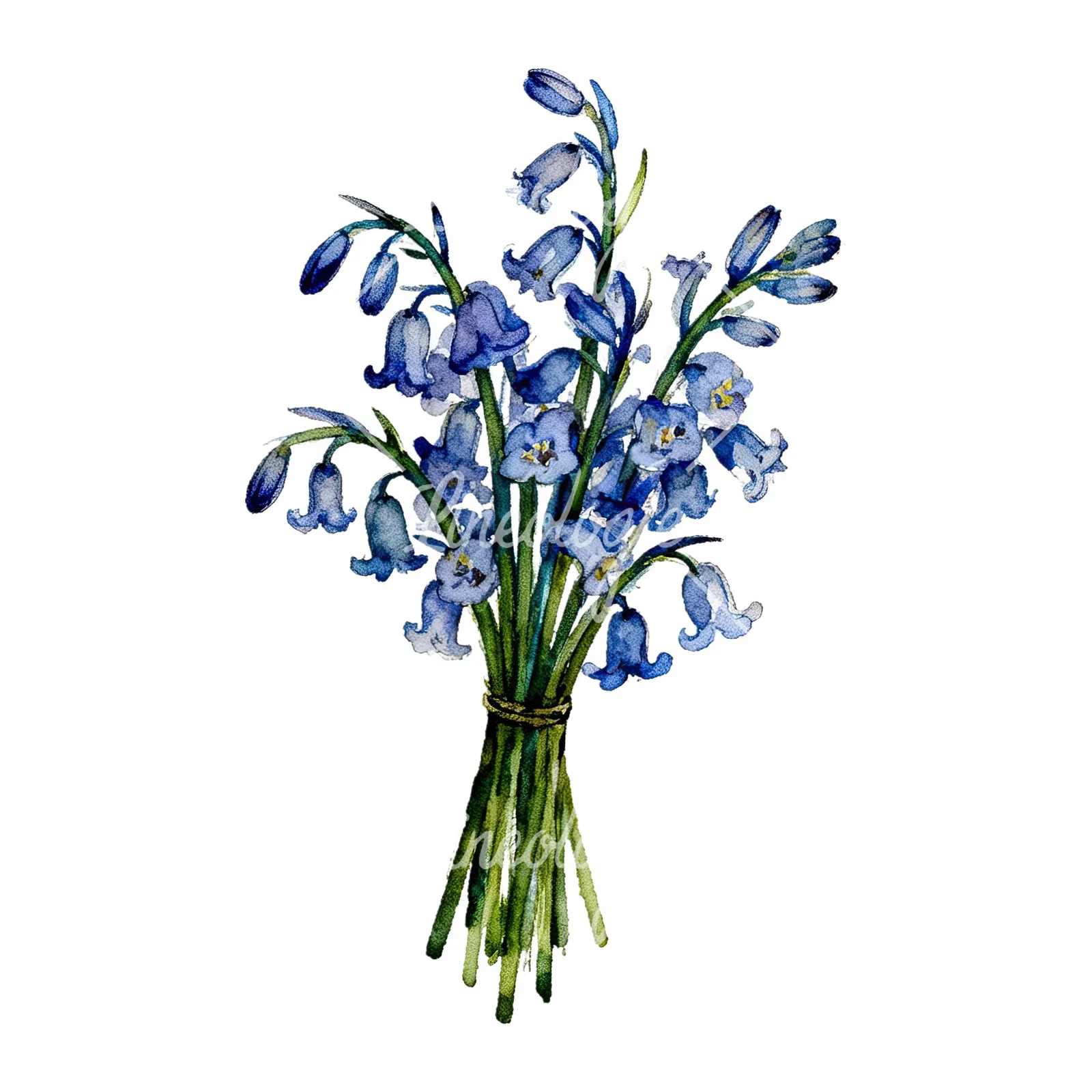 Watercolor bluebell bouquet clipart 6 of 9 on a white background (JPG)