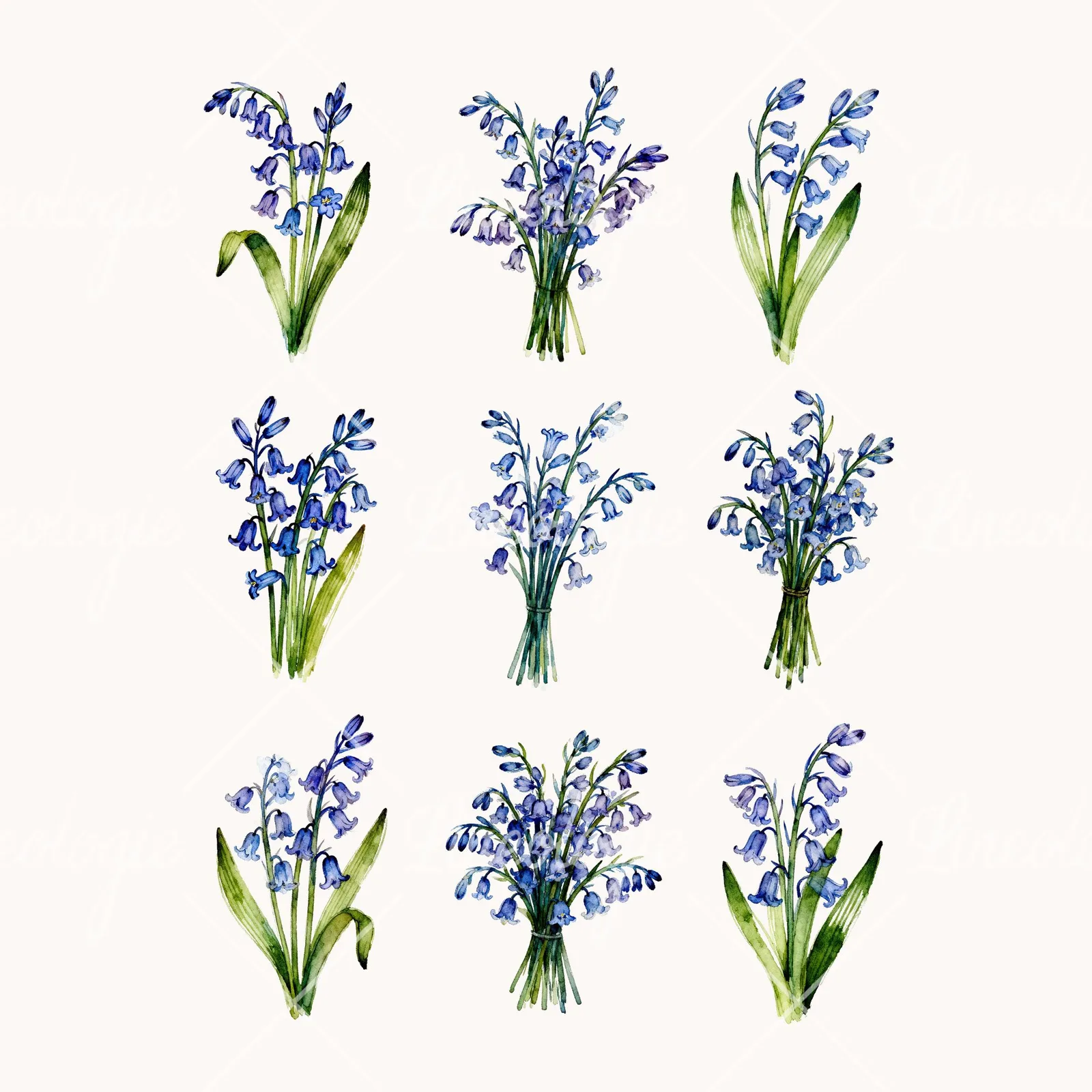 Watercolor Bluebell Bouquet Clipart, all 9 illustrations in the pack