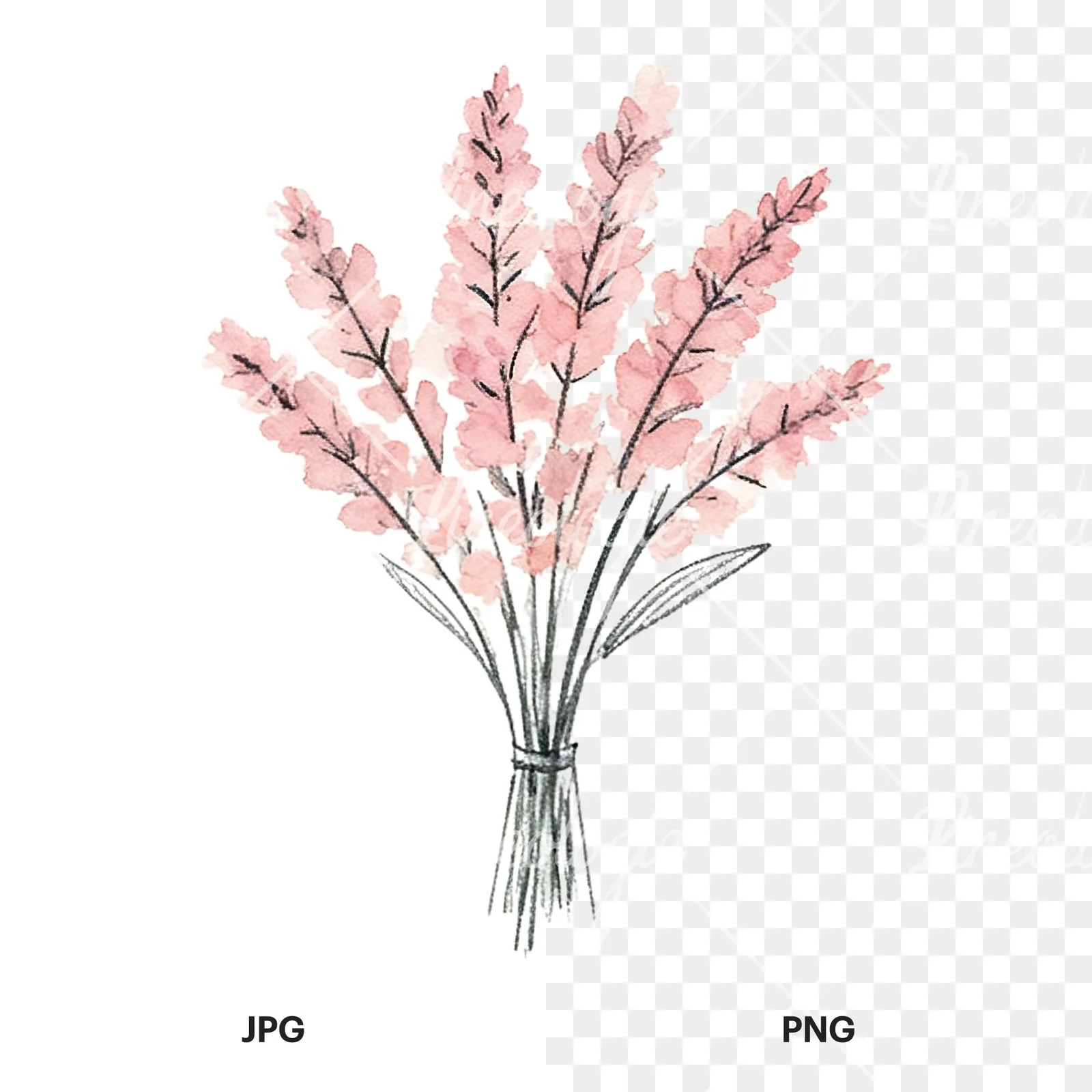 Watercolor blush pink and peach wedding bouquet with ribbons clipart 1 of 9, as a JPG on white and a transparent PNG