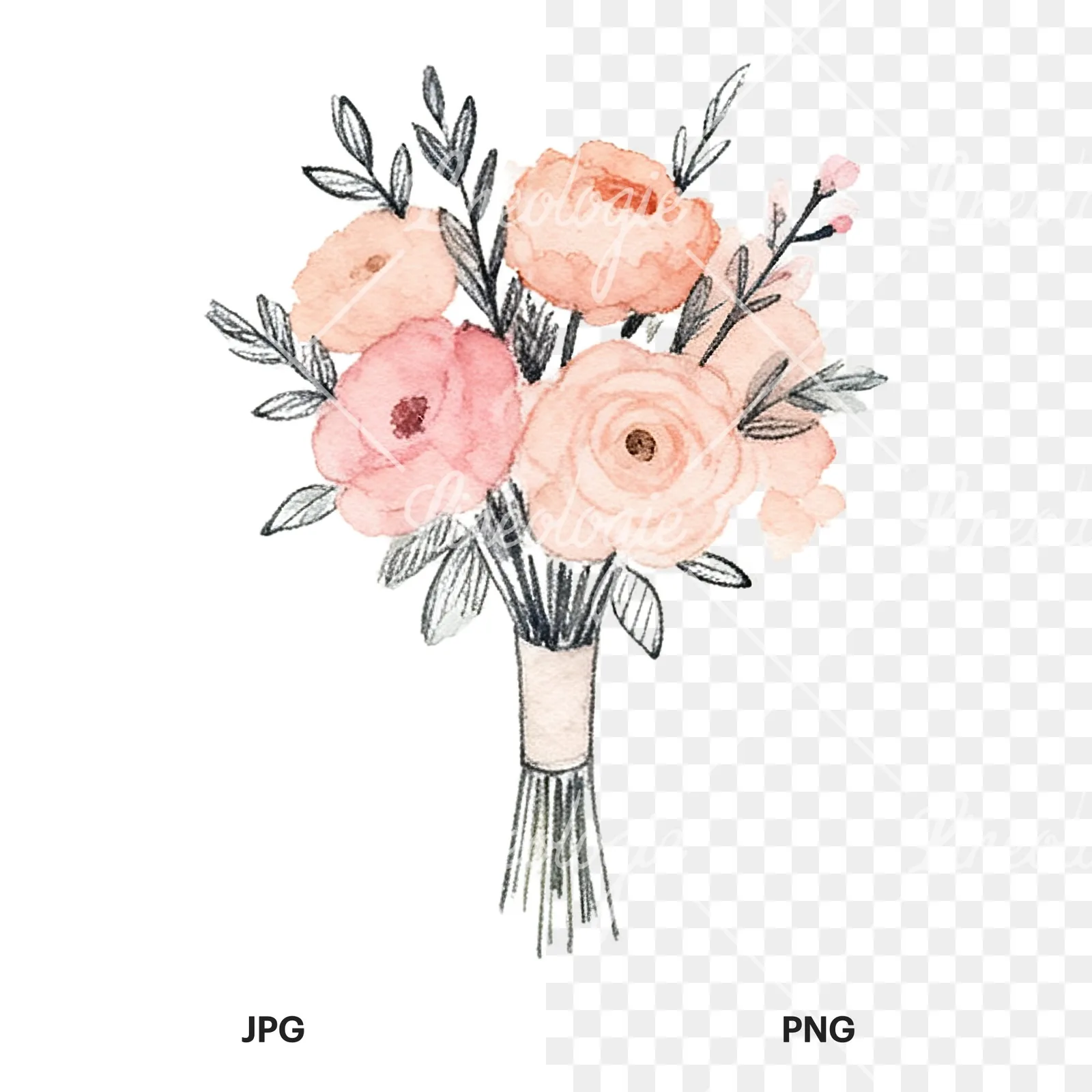 Watercolor blush pink and peach wedding bouquet with ribbons clipart 3 of 9, as a JPG on white and a transparent PNG