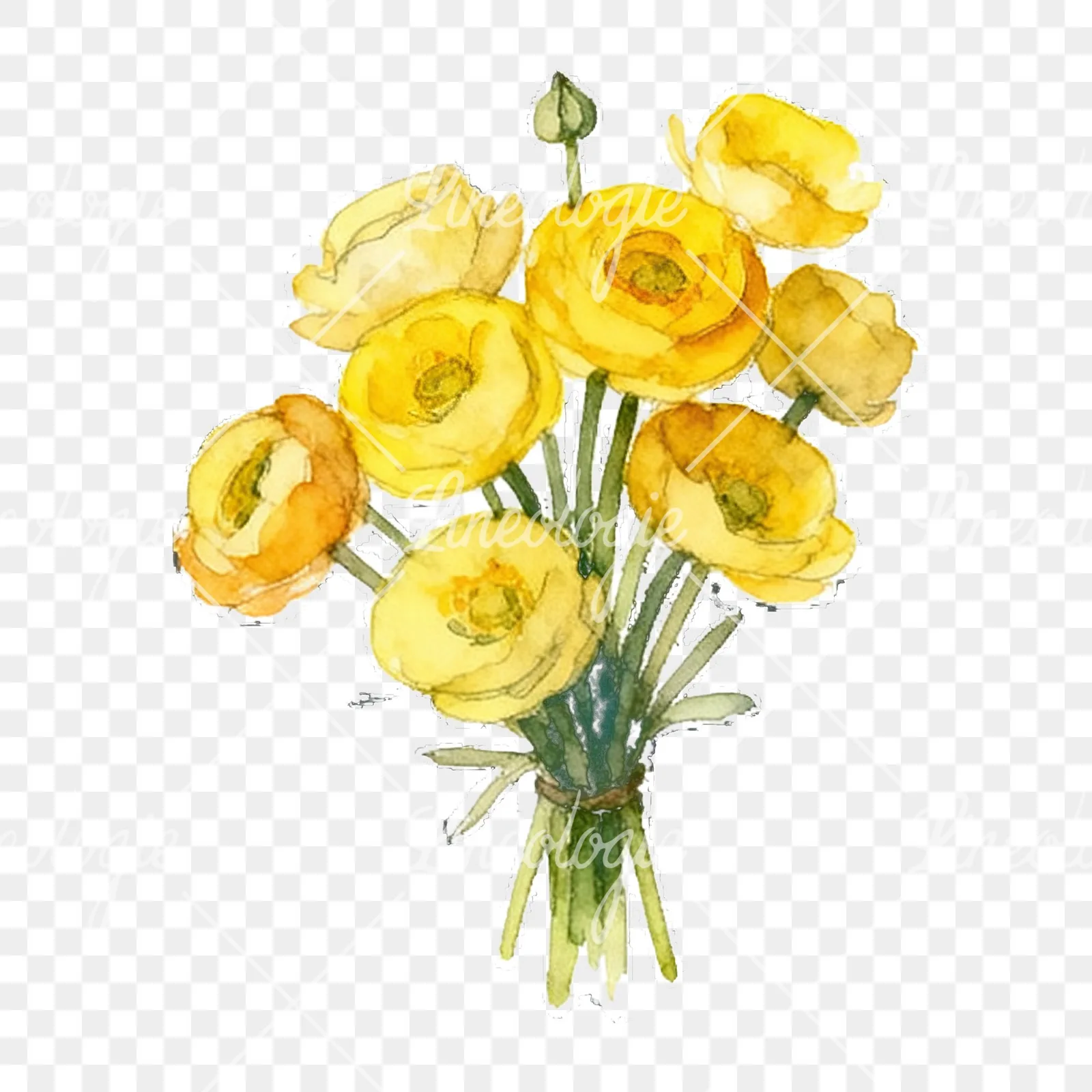 Watercolor yellow buttercup bouquet clipart 9 of 9 on a transparent background (PNG)