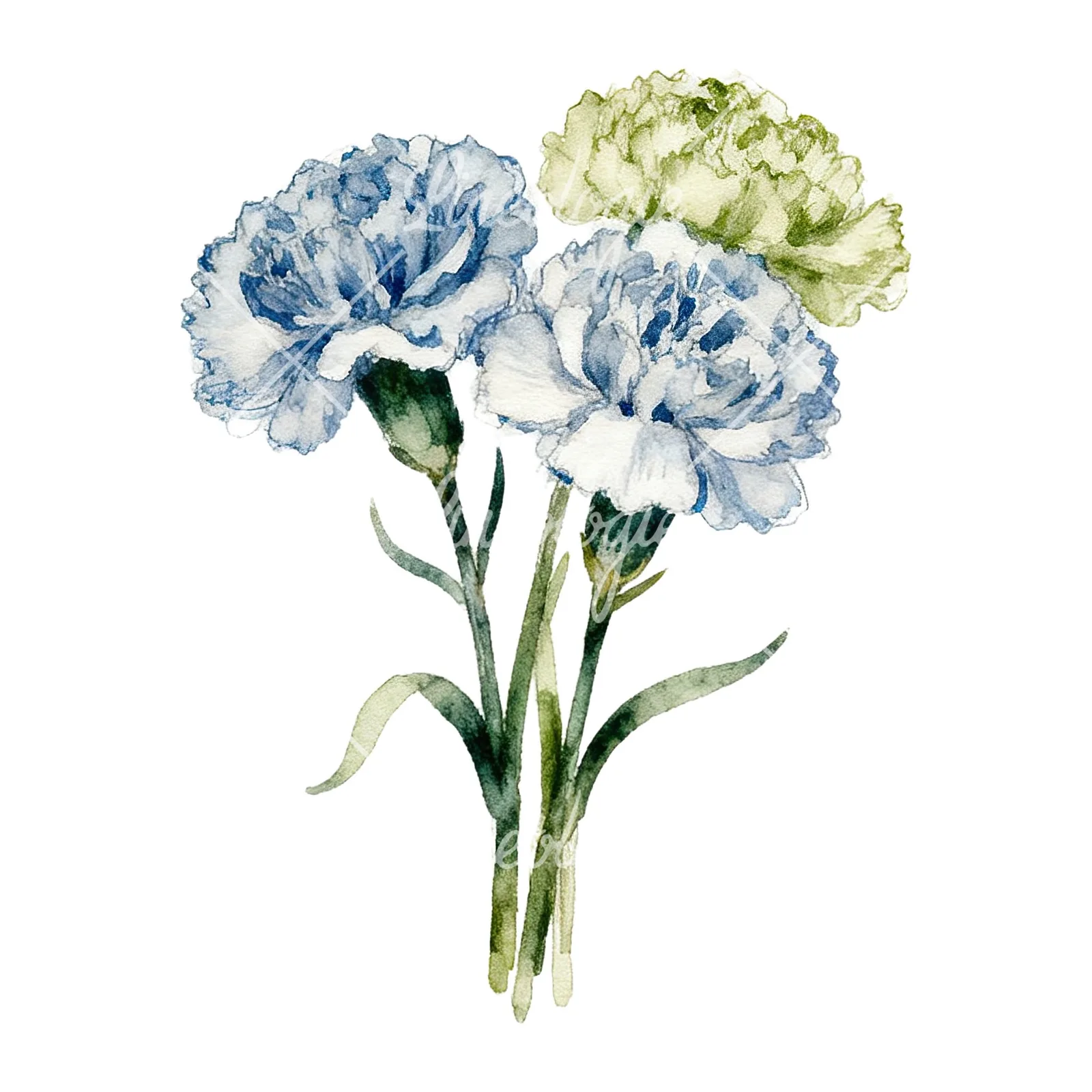 Watercolor carnation bouquet with white blooms clipart 5 of 9 on a white background (JPG)