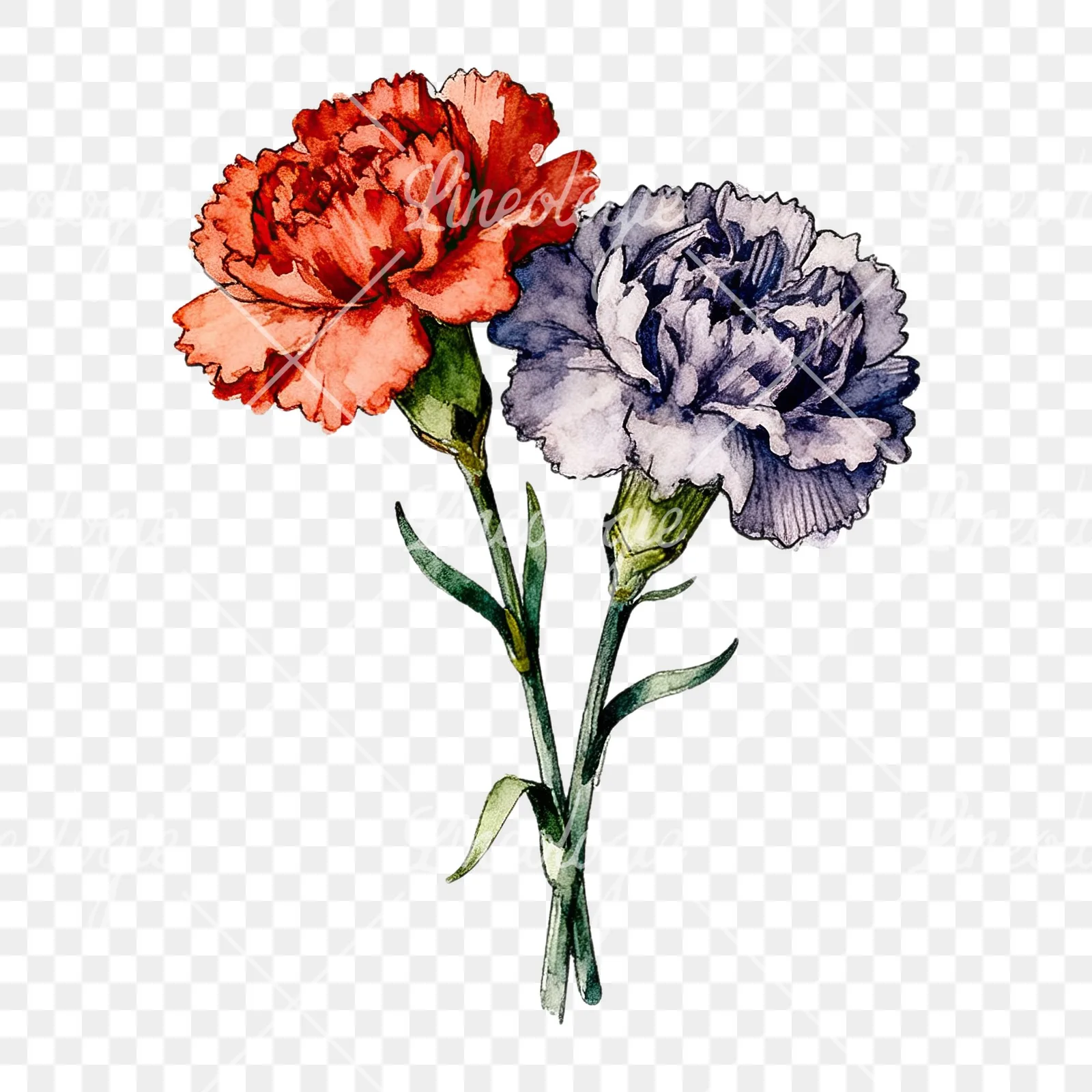 Watercolor carnation bouquet with yellow blooms clipart 5 of 9 on a transparent background (PNG)