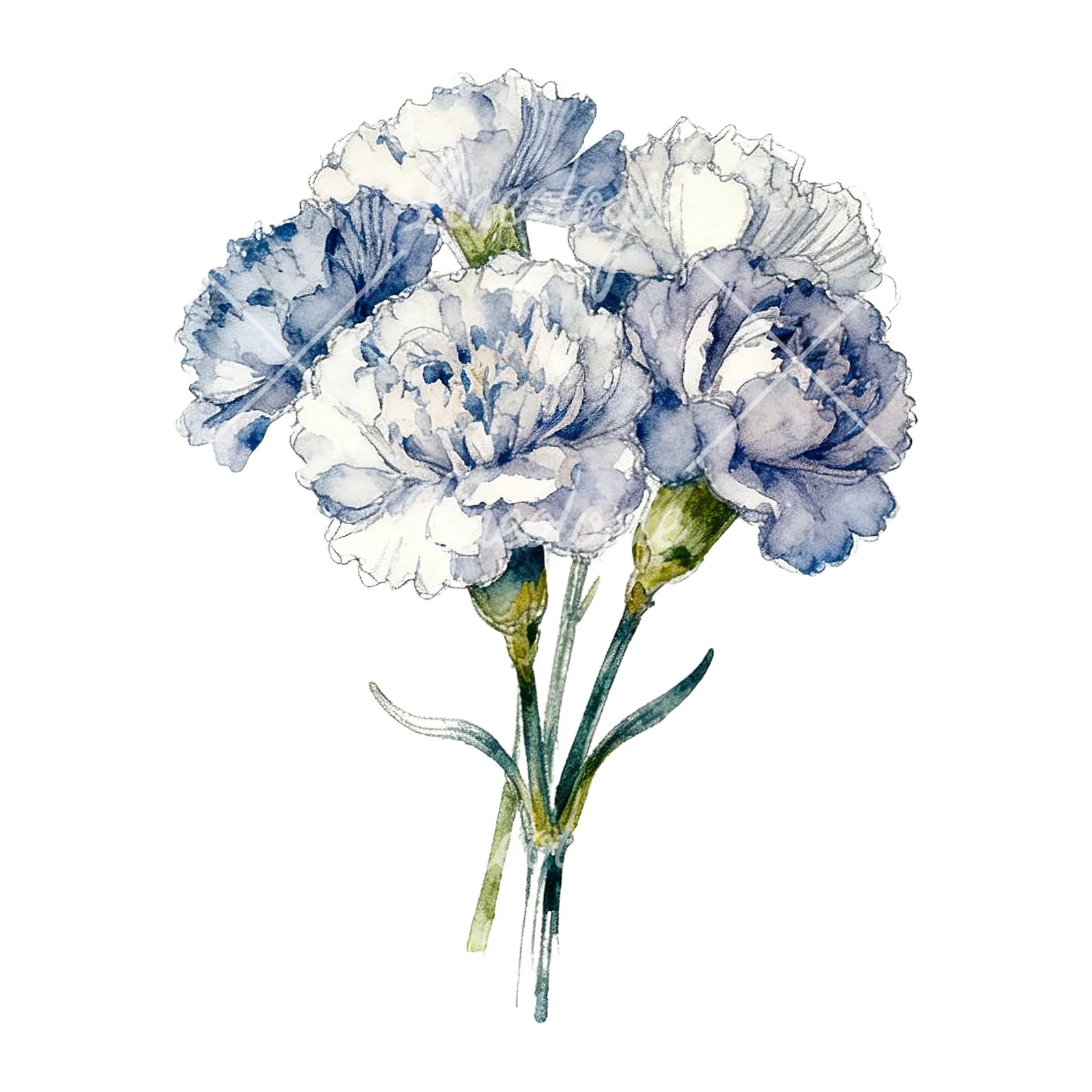 Watercolor carnation flower bouquet clipart 5 of 9 on a white background (JPG)