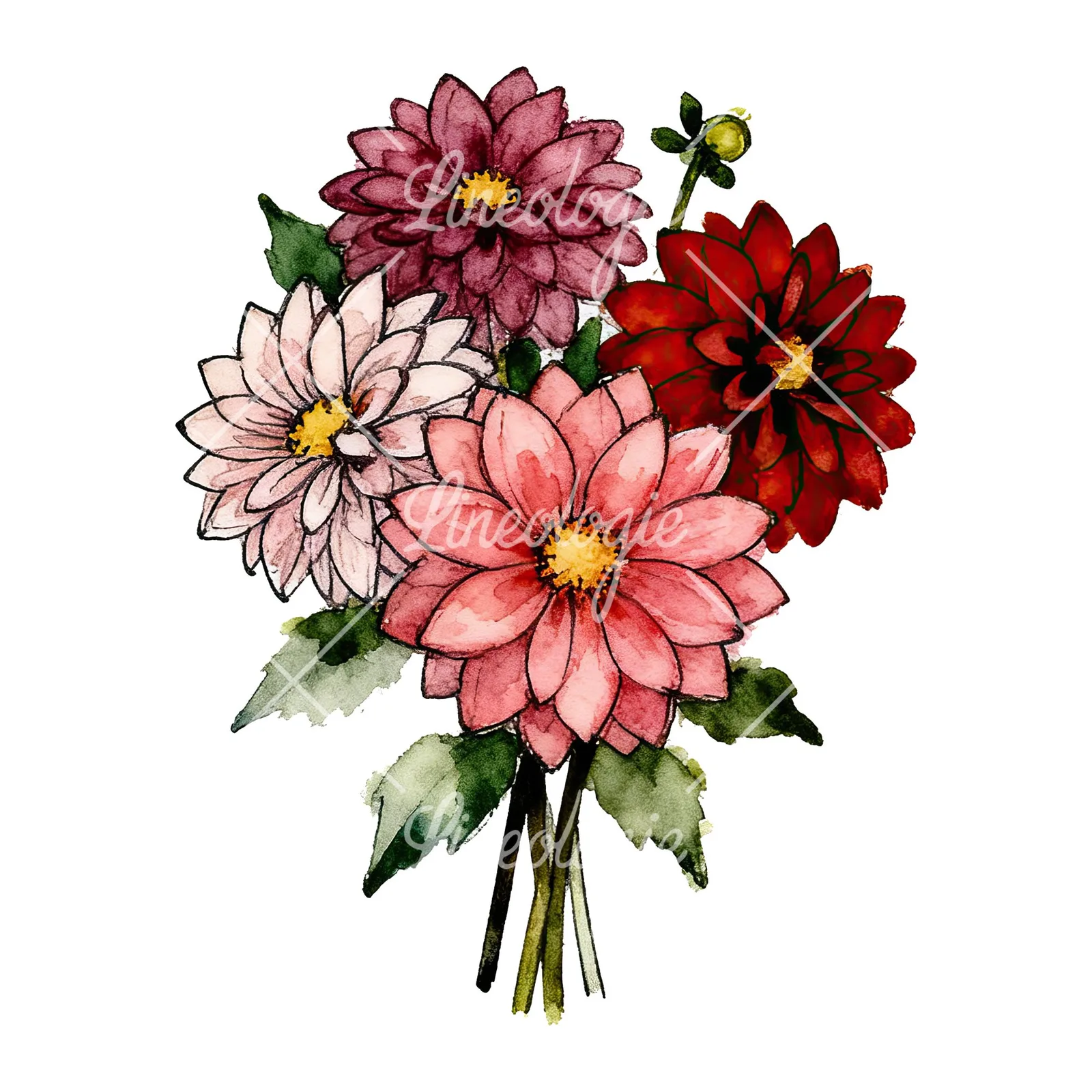 Watercolor dahlia bouquet with buds clipart 1 of 9 on a white background (JPG)