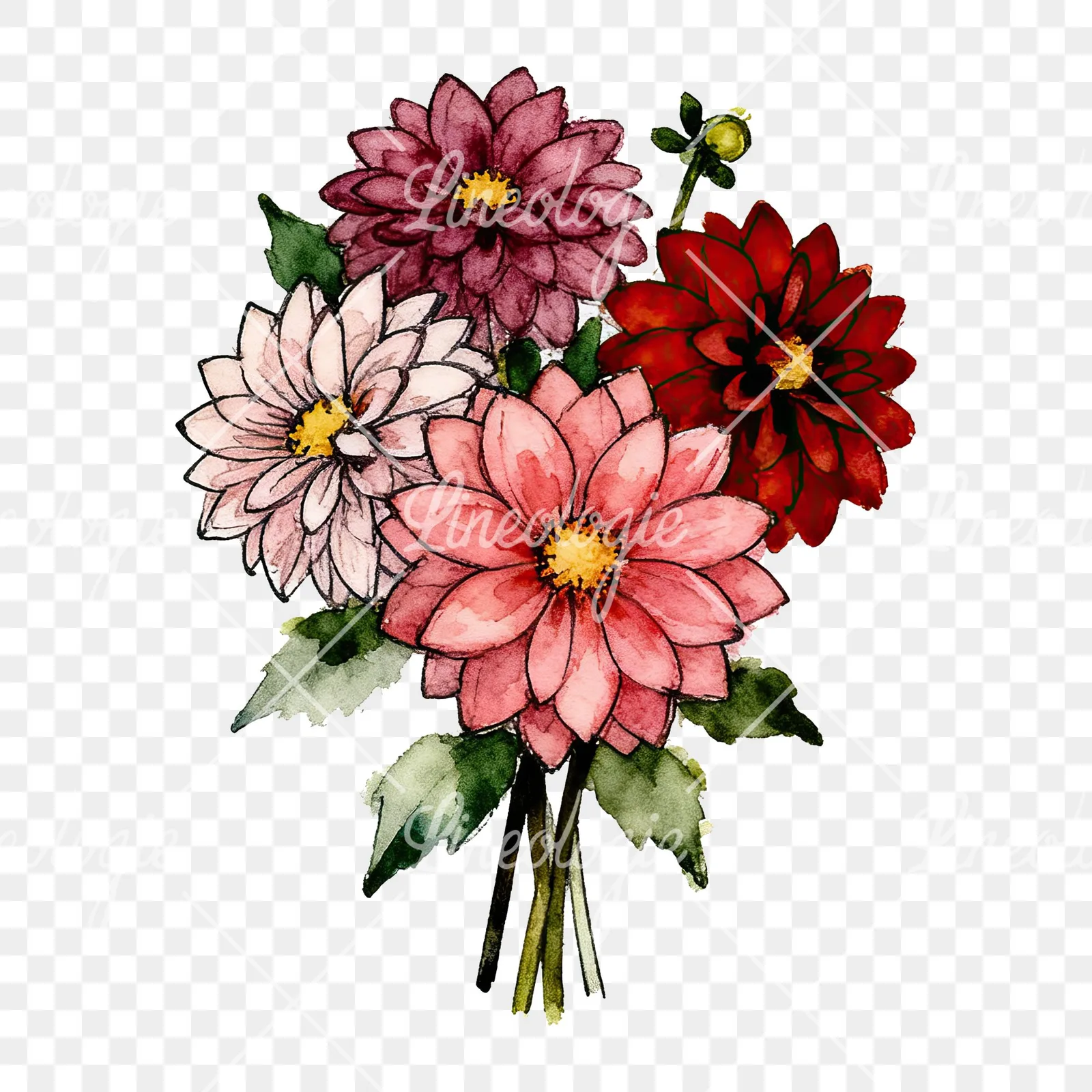 Watercolor dahlia bouquet with buds clipart 1 of 9 on a transparent background (PNG)