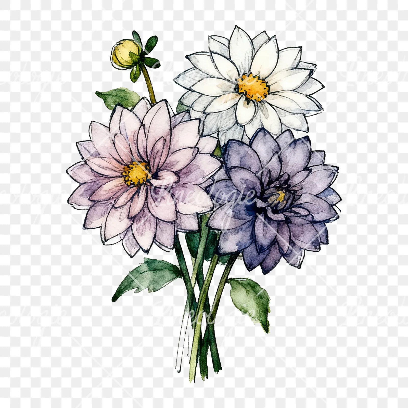 Watercolor dahlia bouquet with buds clipart 3 of 9 on a transparent background (PNG)