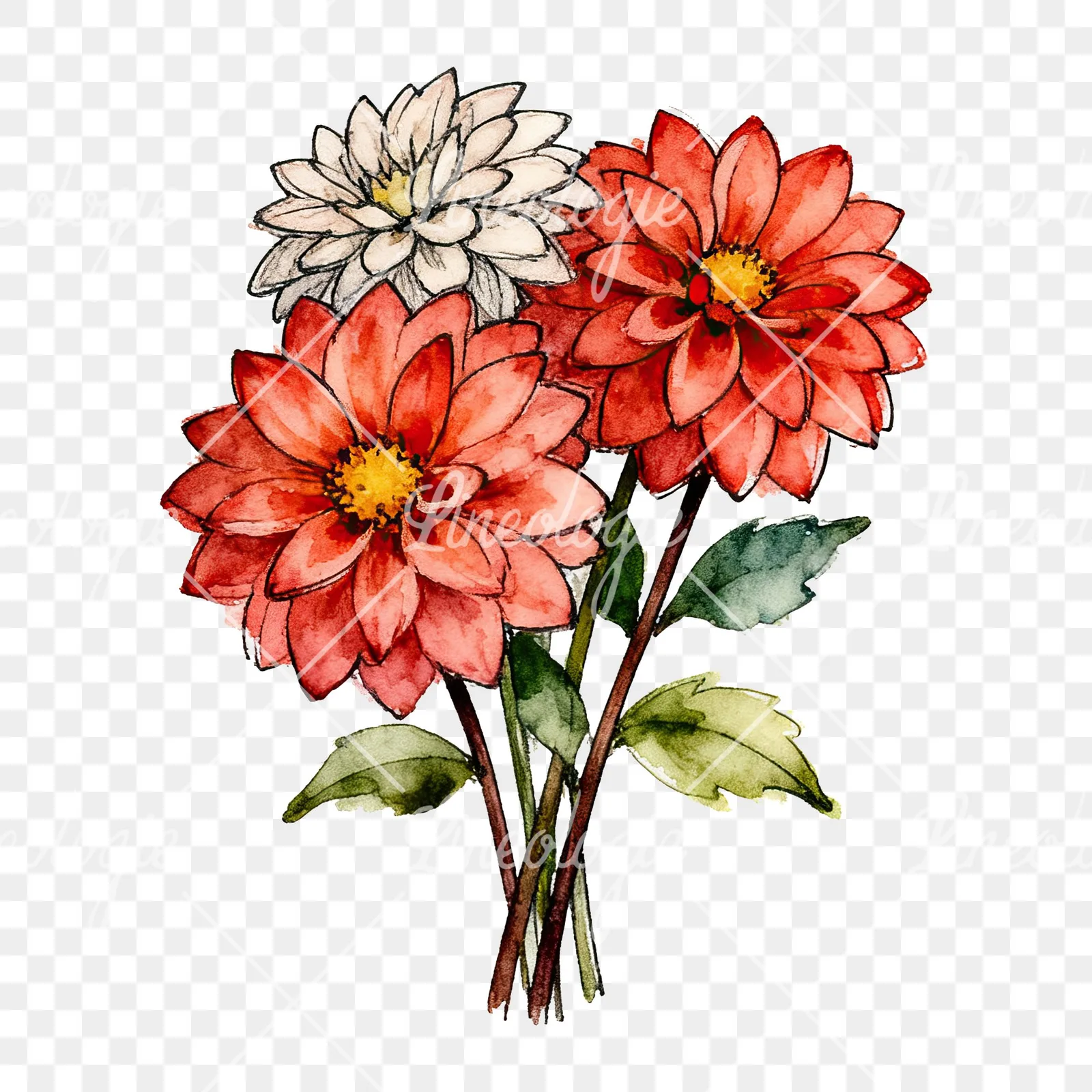 Watercolor dahlia bouquet with buds clipart 5 of 9 on a transparent background (PNG)